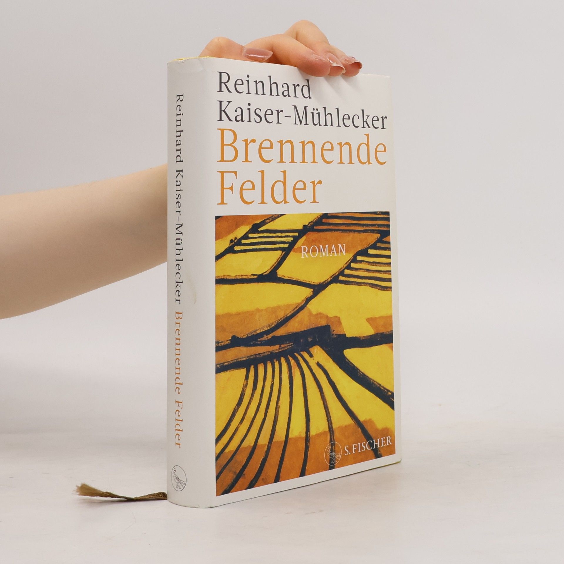 Reinhard Kaiser-Mühlecker Brennende Felder