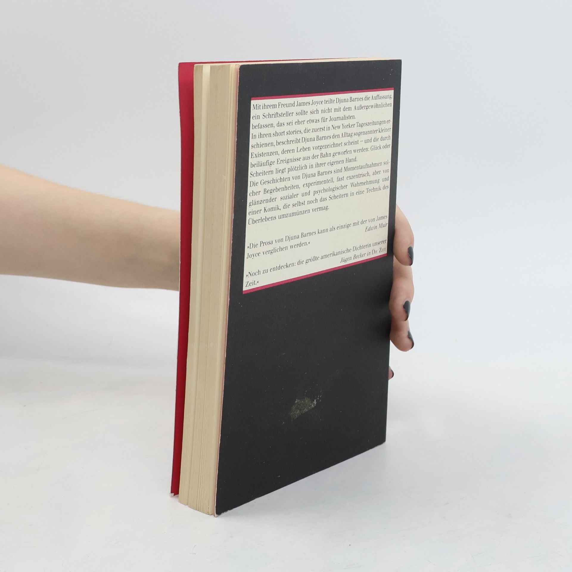Djuna Barnes Die Nacht in den Wäldern