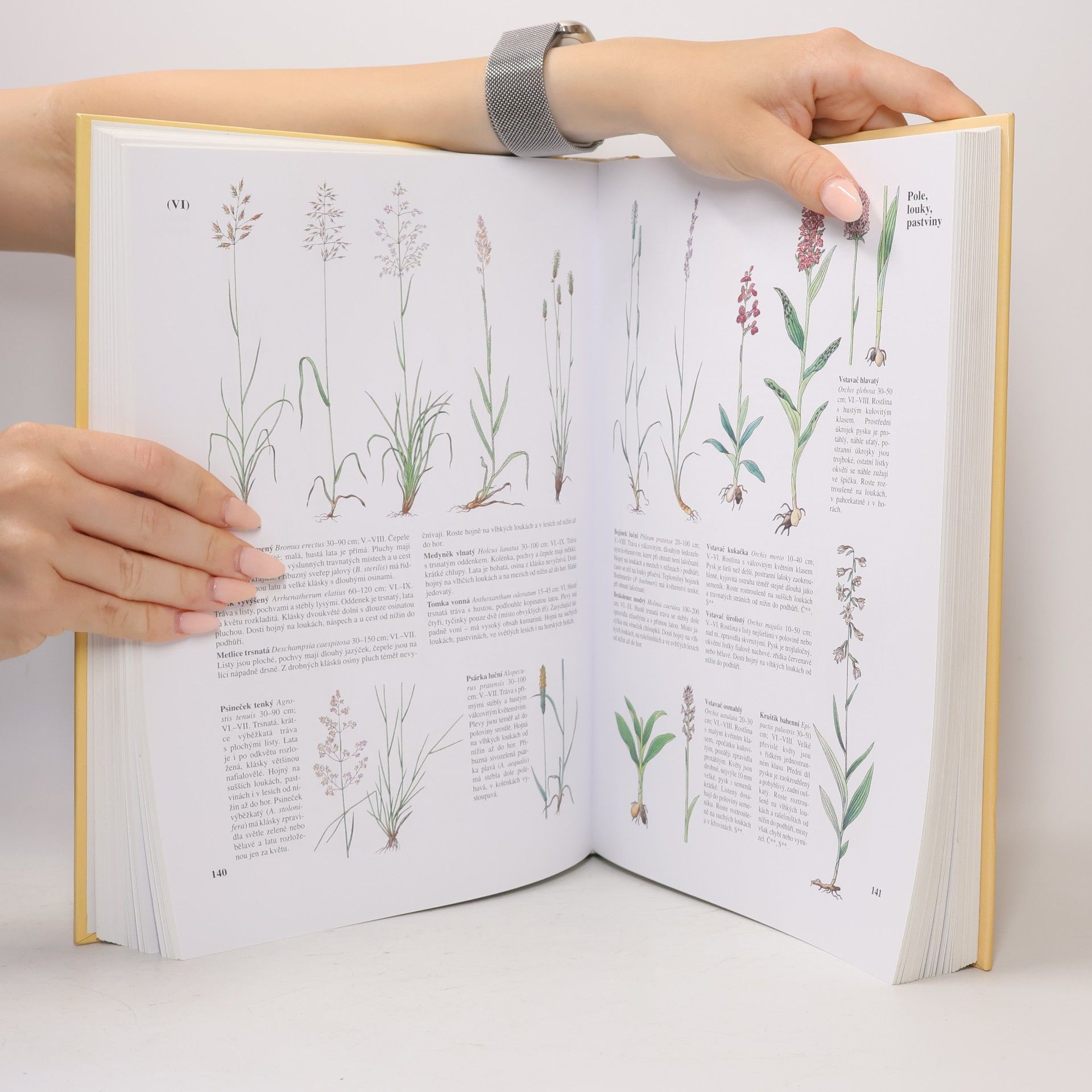 Various authors Příroda v České a Slovenské republice