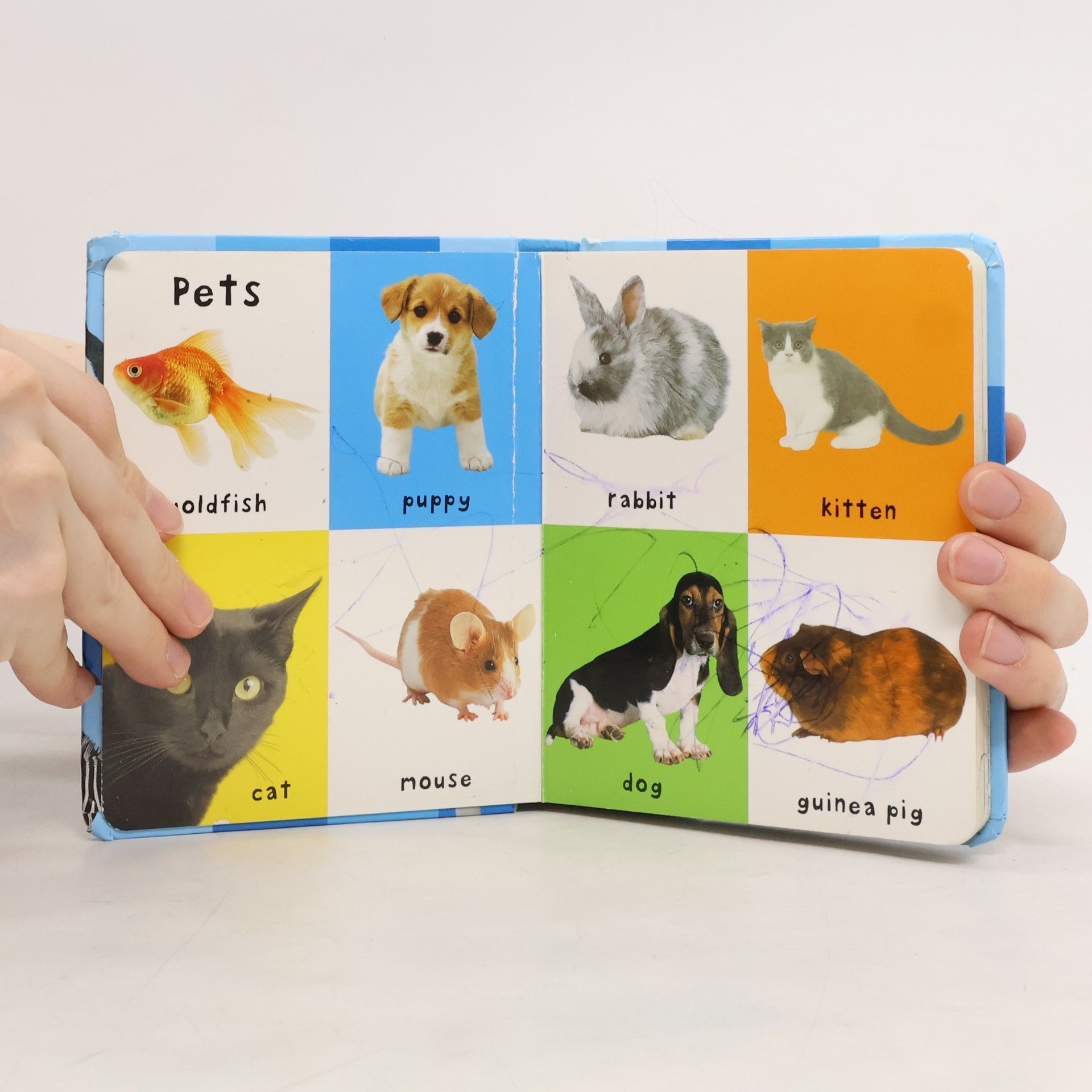 Roger Priddy First 100 Animals