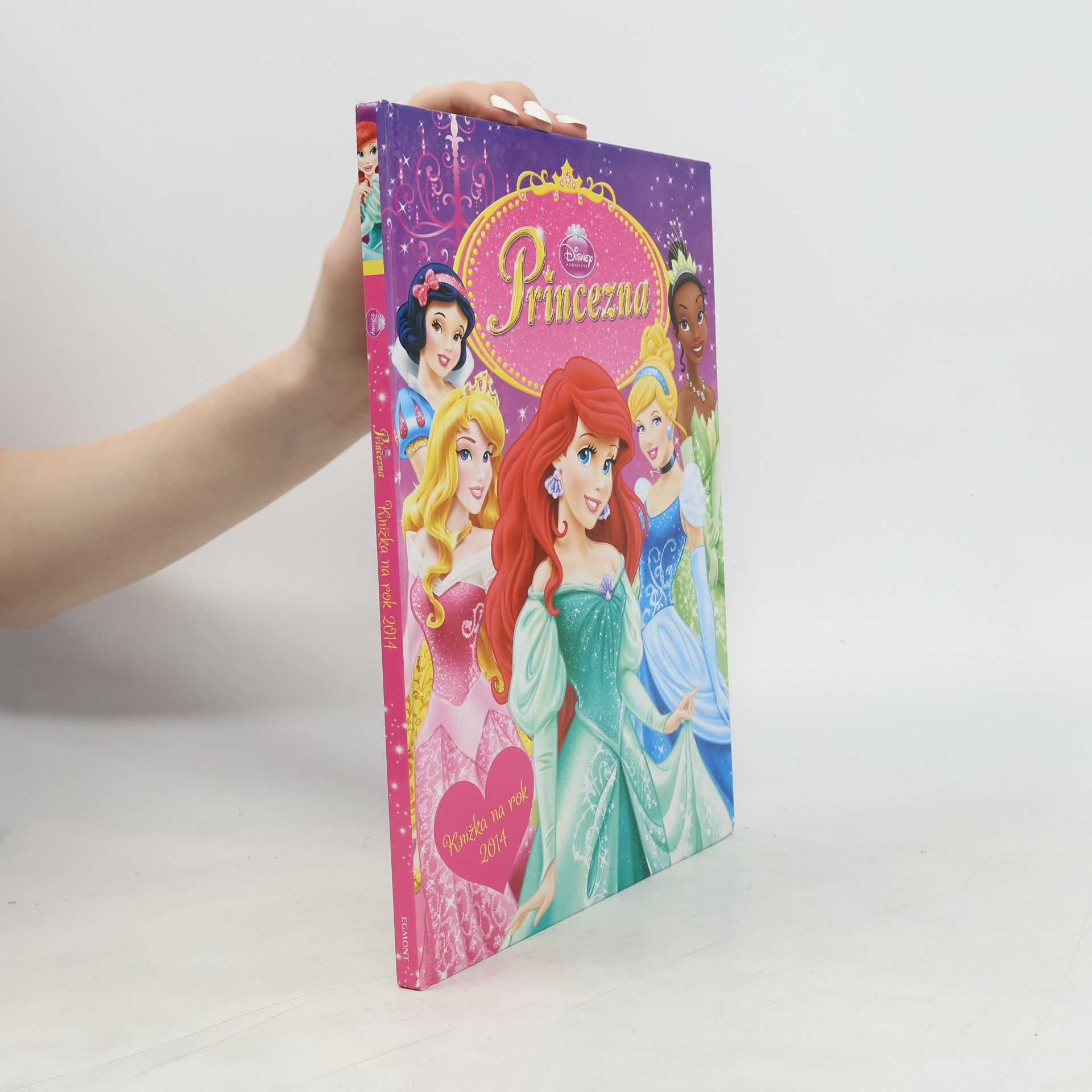 Walt Disney Princezna - Knížka na rok 2014