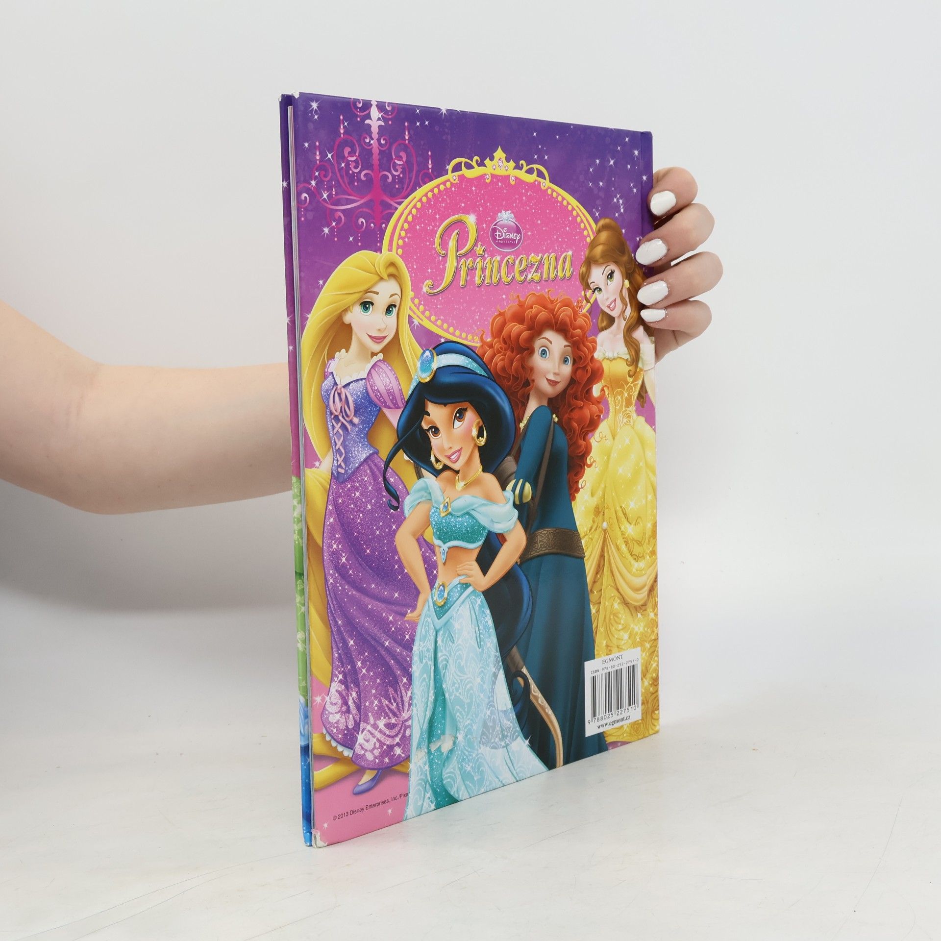 Walt Disney Princezna - Knížka na rok 2014