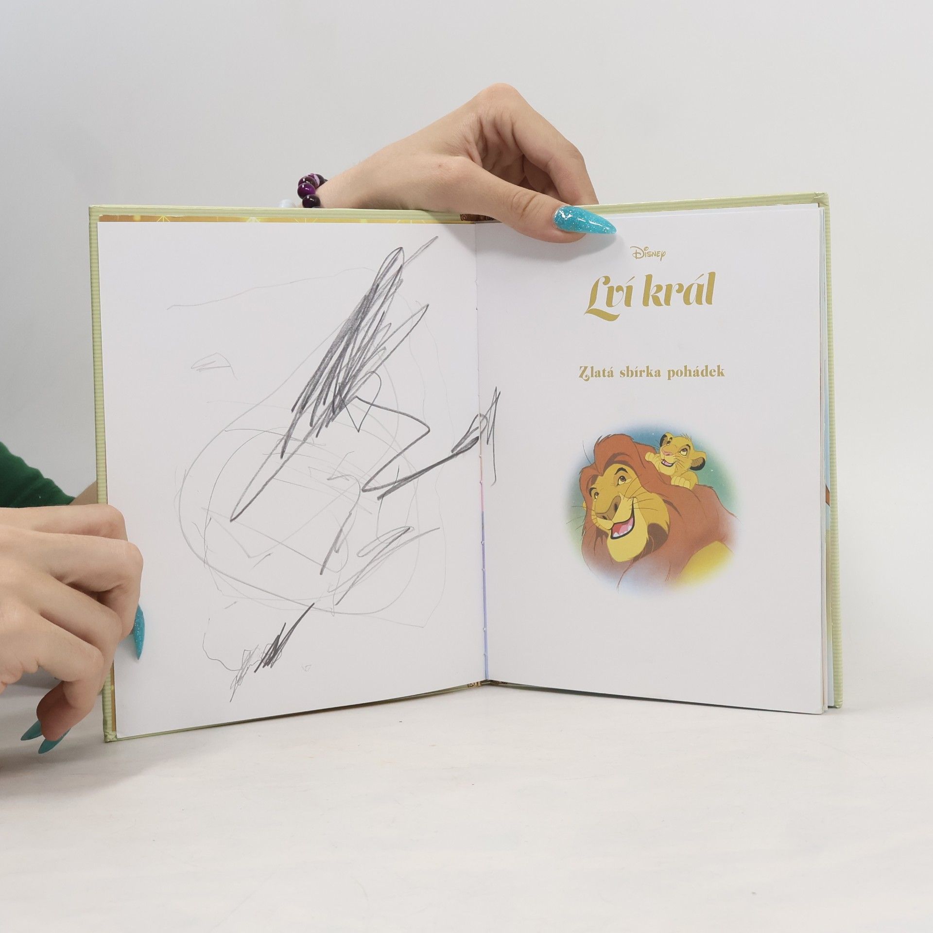 Autorenkollektiv Zlatá sbírka pohádek 1. Lví král