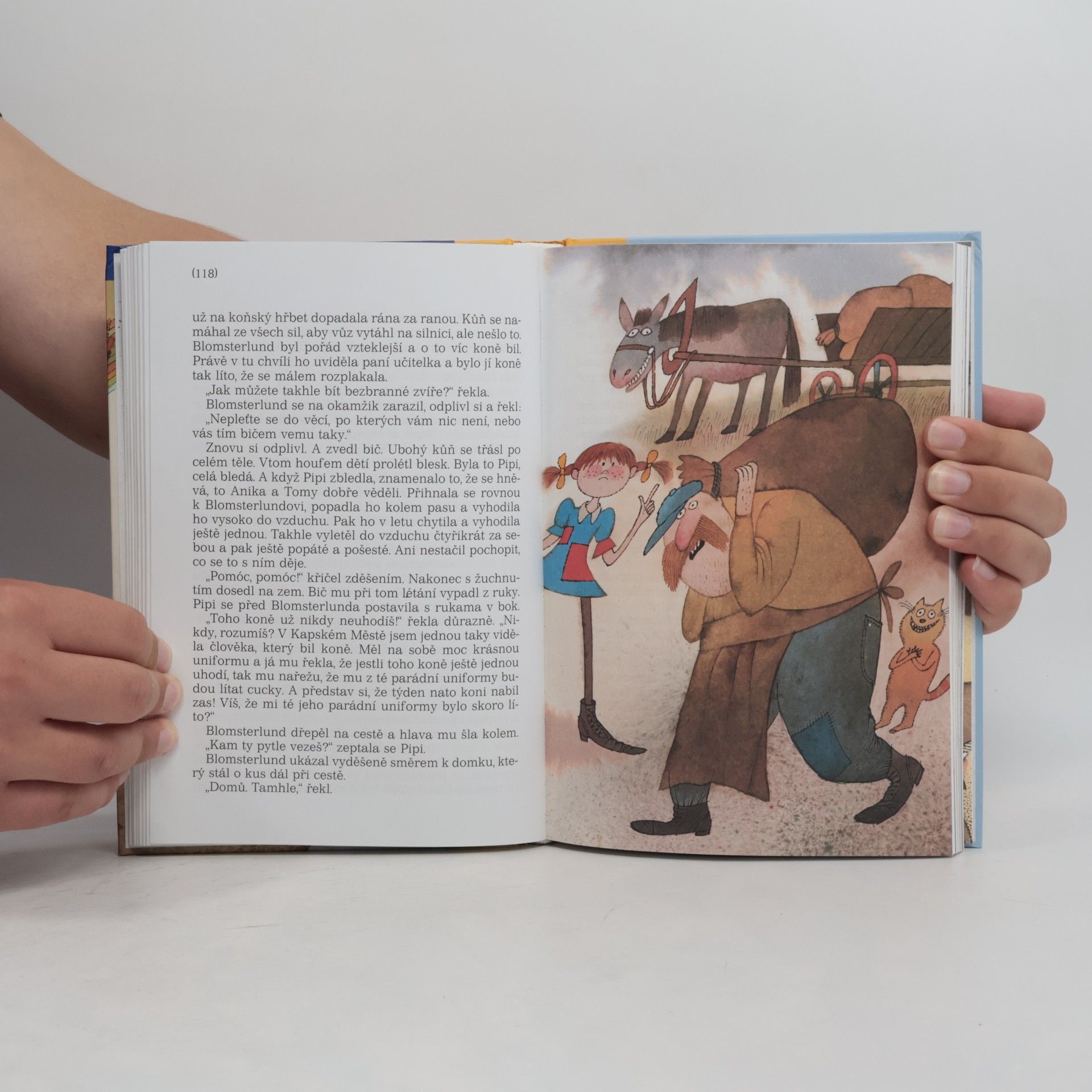 Astrid Lindgren Pipi Dlouhá punčocha