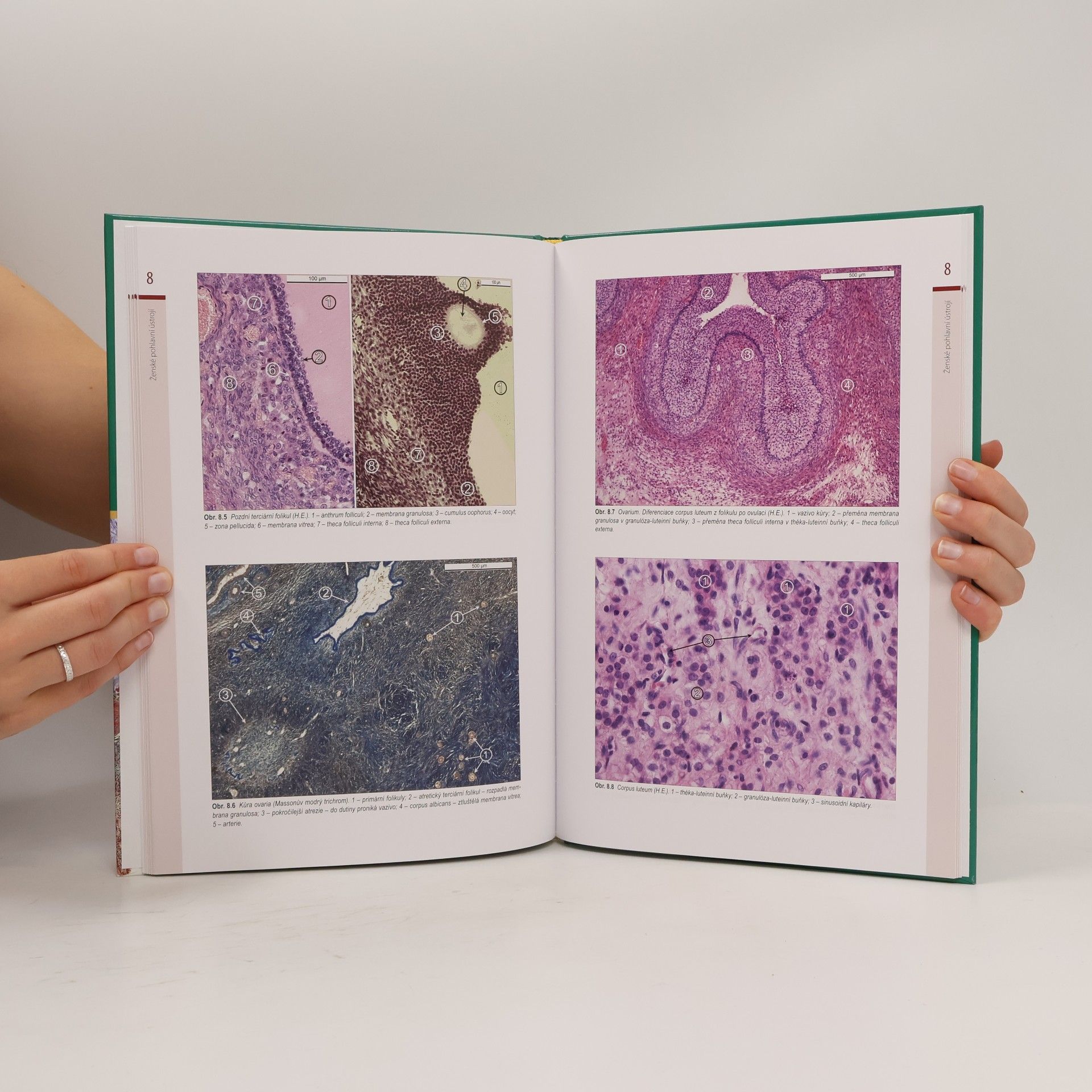 Jindřich Martínek Histologický atlas