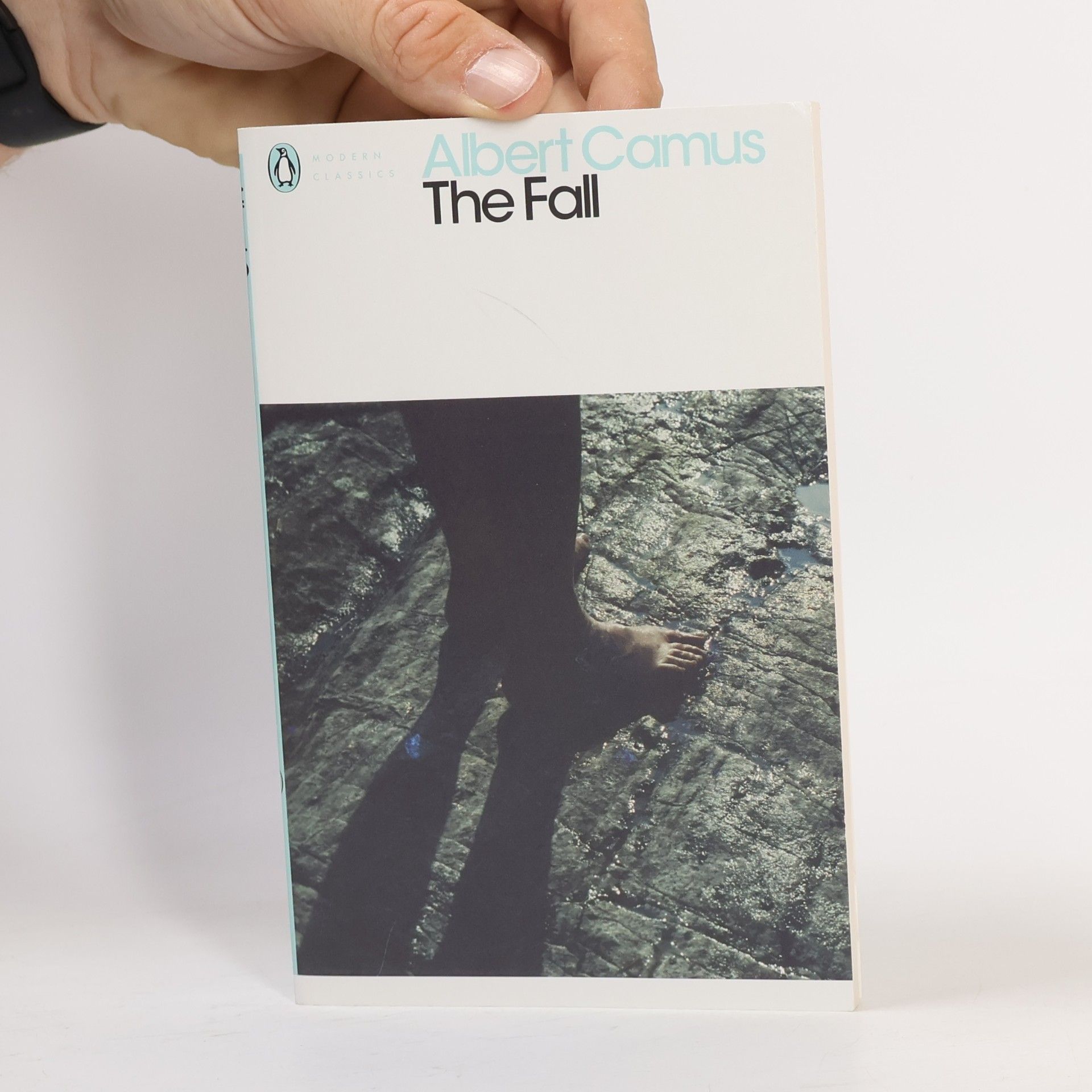 Albert Camus The Fall