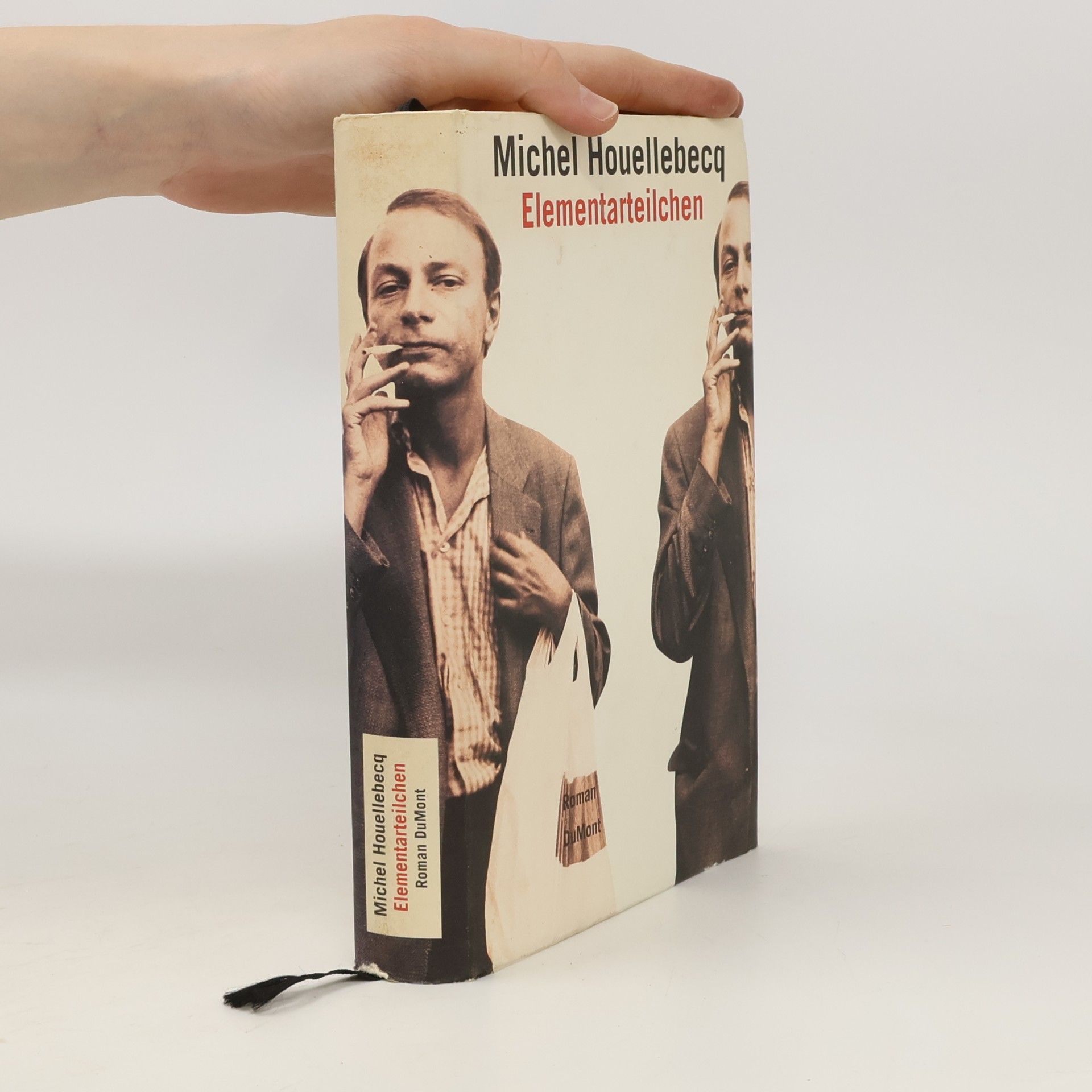 Michel Houellebecq Elementarteilchen