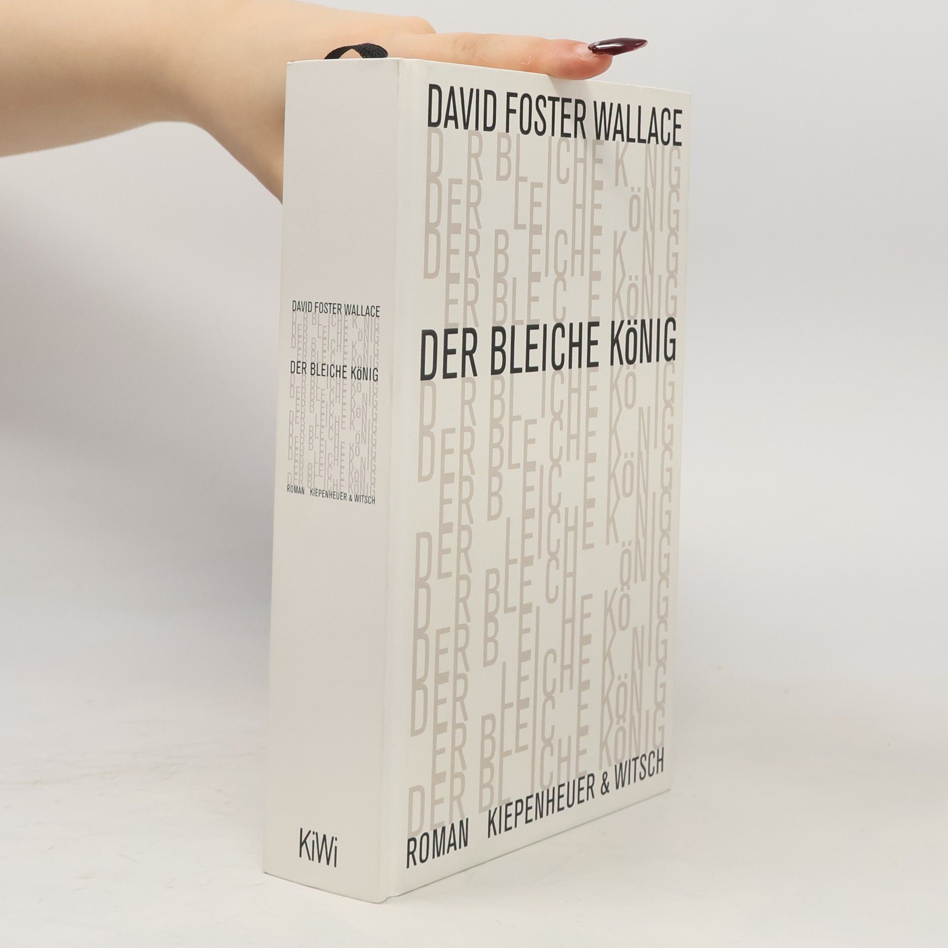 David Foster Wallace Der bleiche König