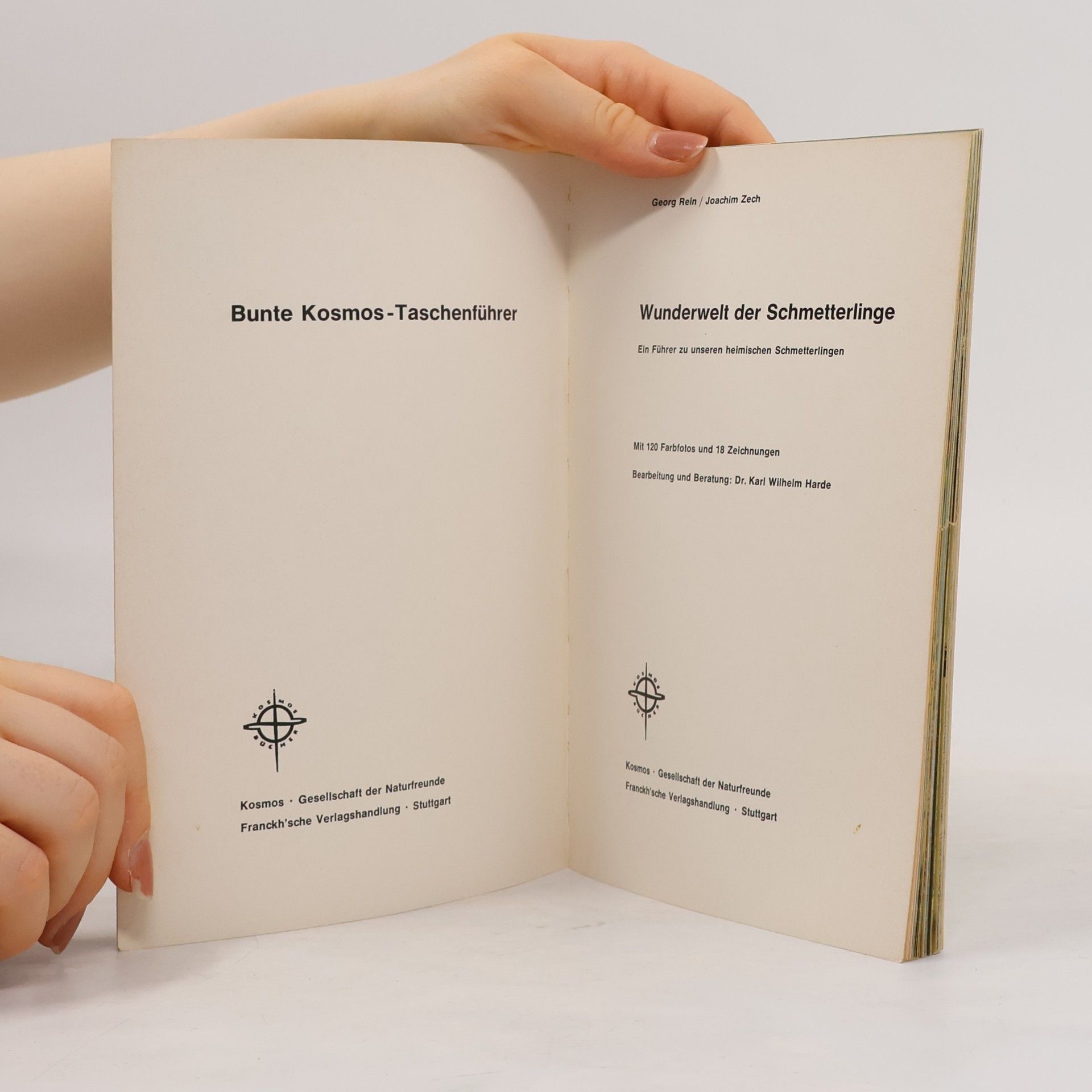 Georg Rein Wunderwelt der Schmetterlinge