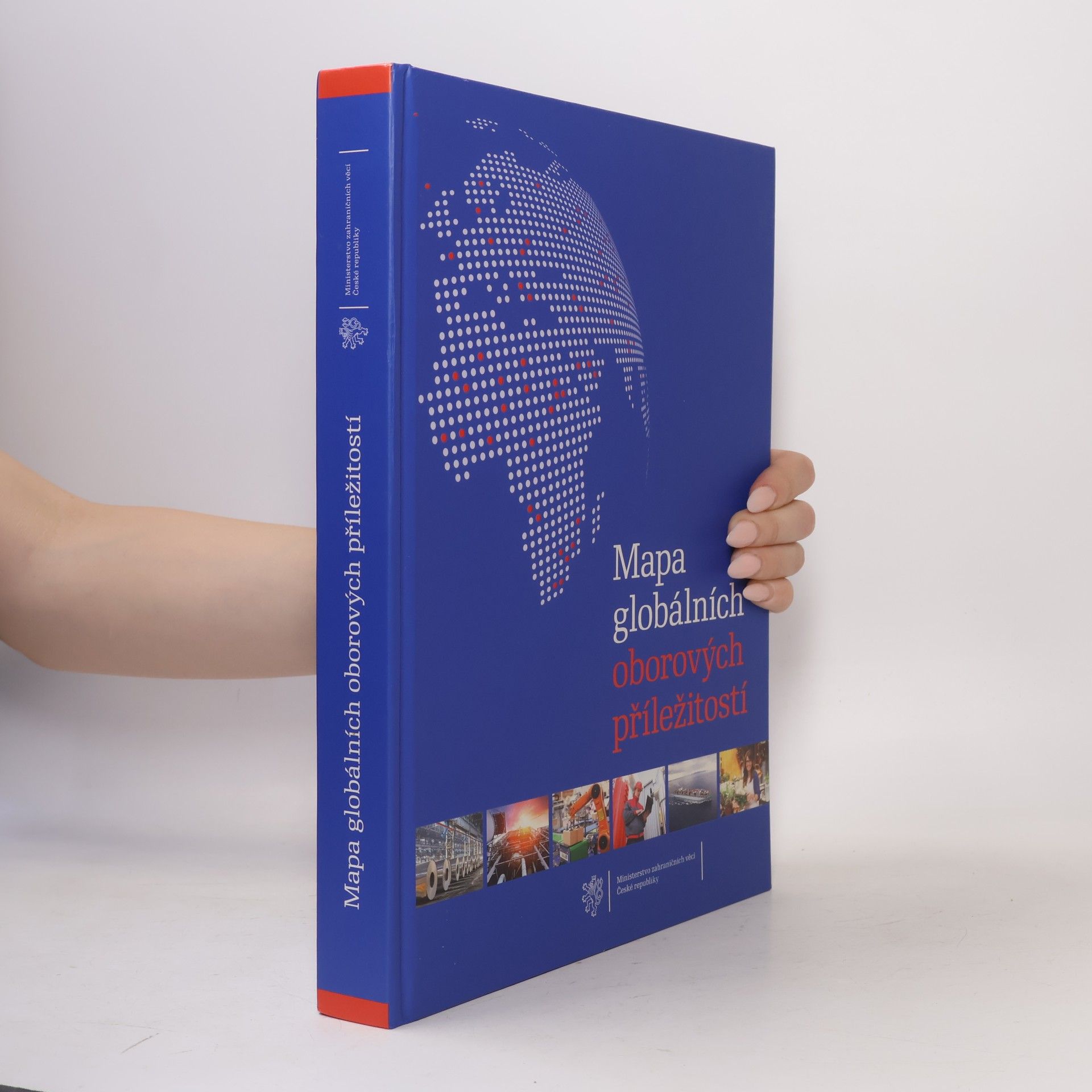 Various authors Mapa globálních oborových příležitostí