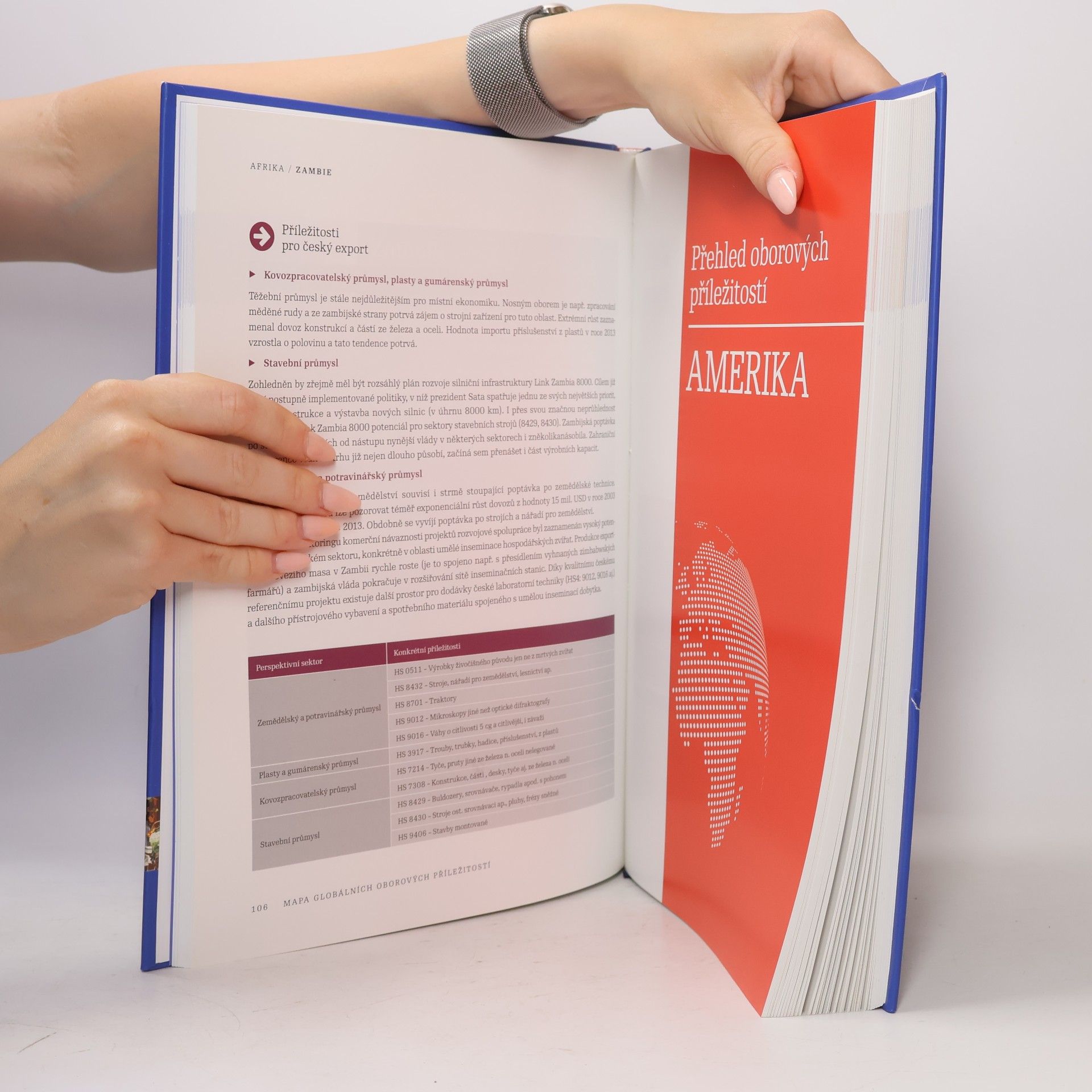 Autorenkollektiv Mapa globálních oborových příležitostí