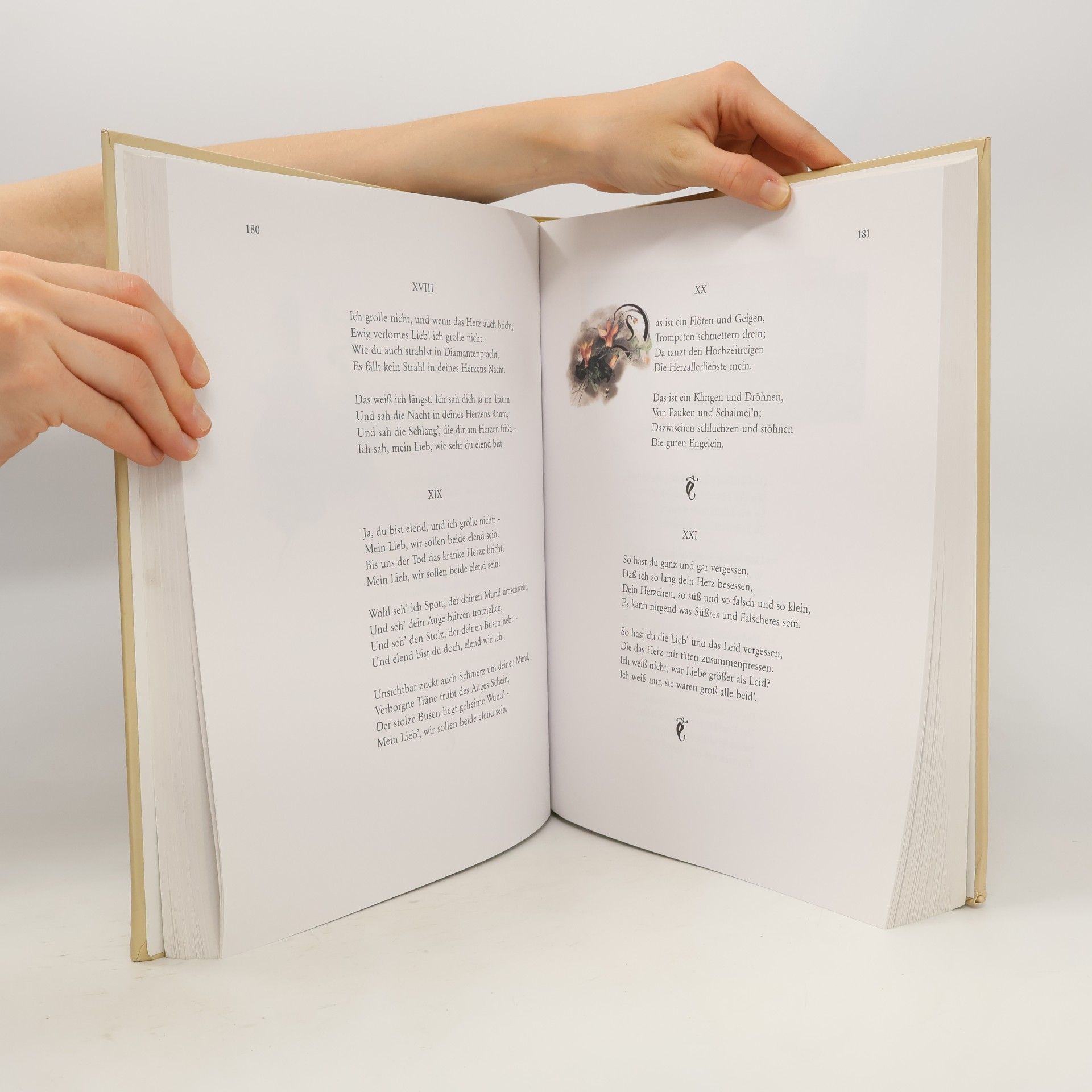 Heinrich Heine Buch der Lieder
