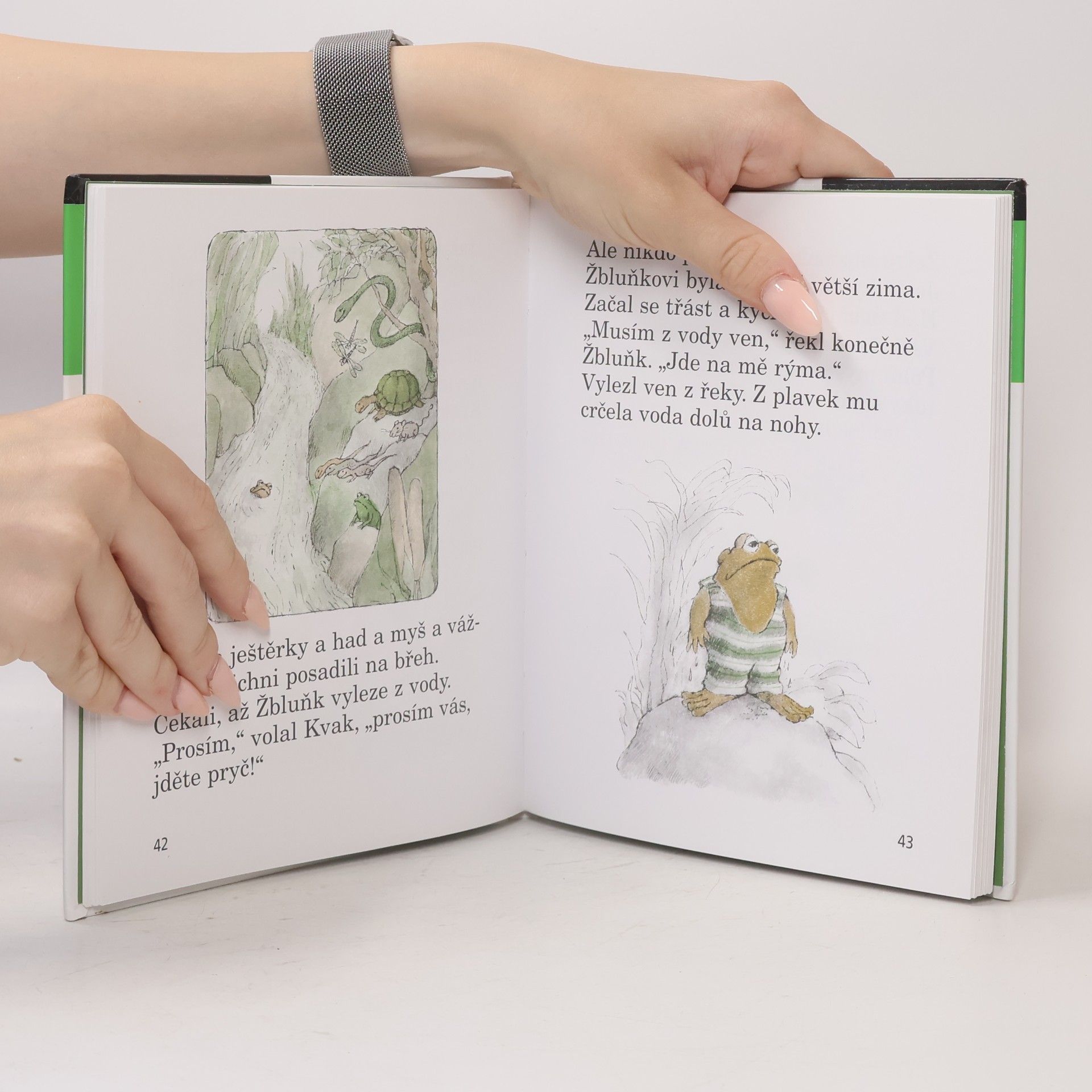 Arnold Lobel Kvak a Žbluňk jsou kamarádi