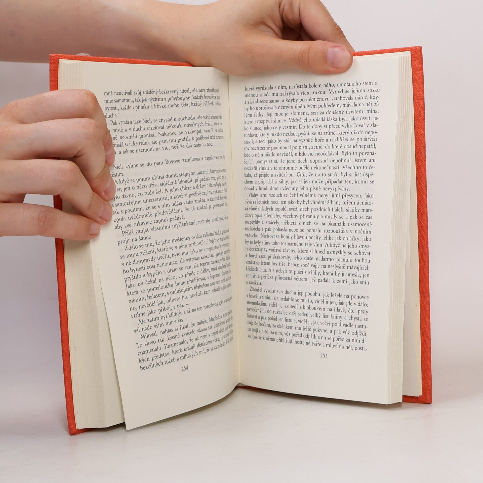 Jens Peter Jacobsen Paní Marie Grubbová. Niels Lyhne