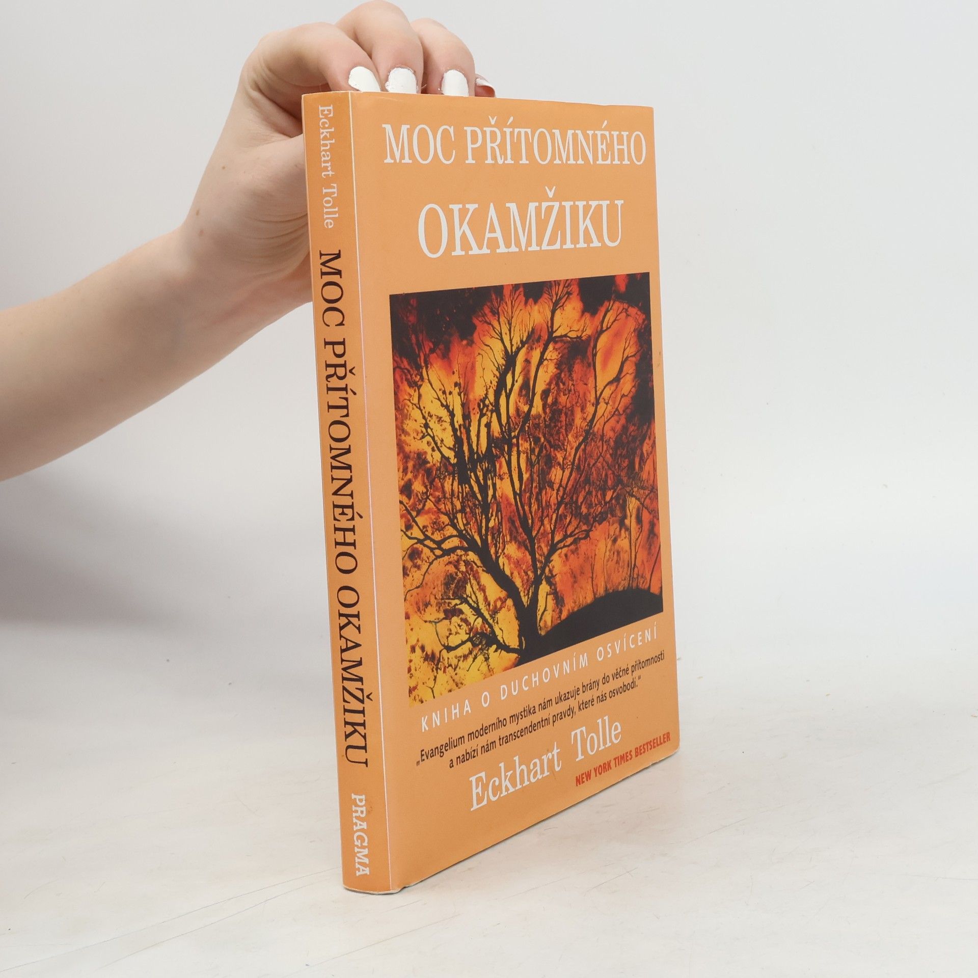 Eckhart Tolle Moc přítomného okamžiku