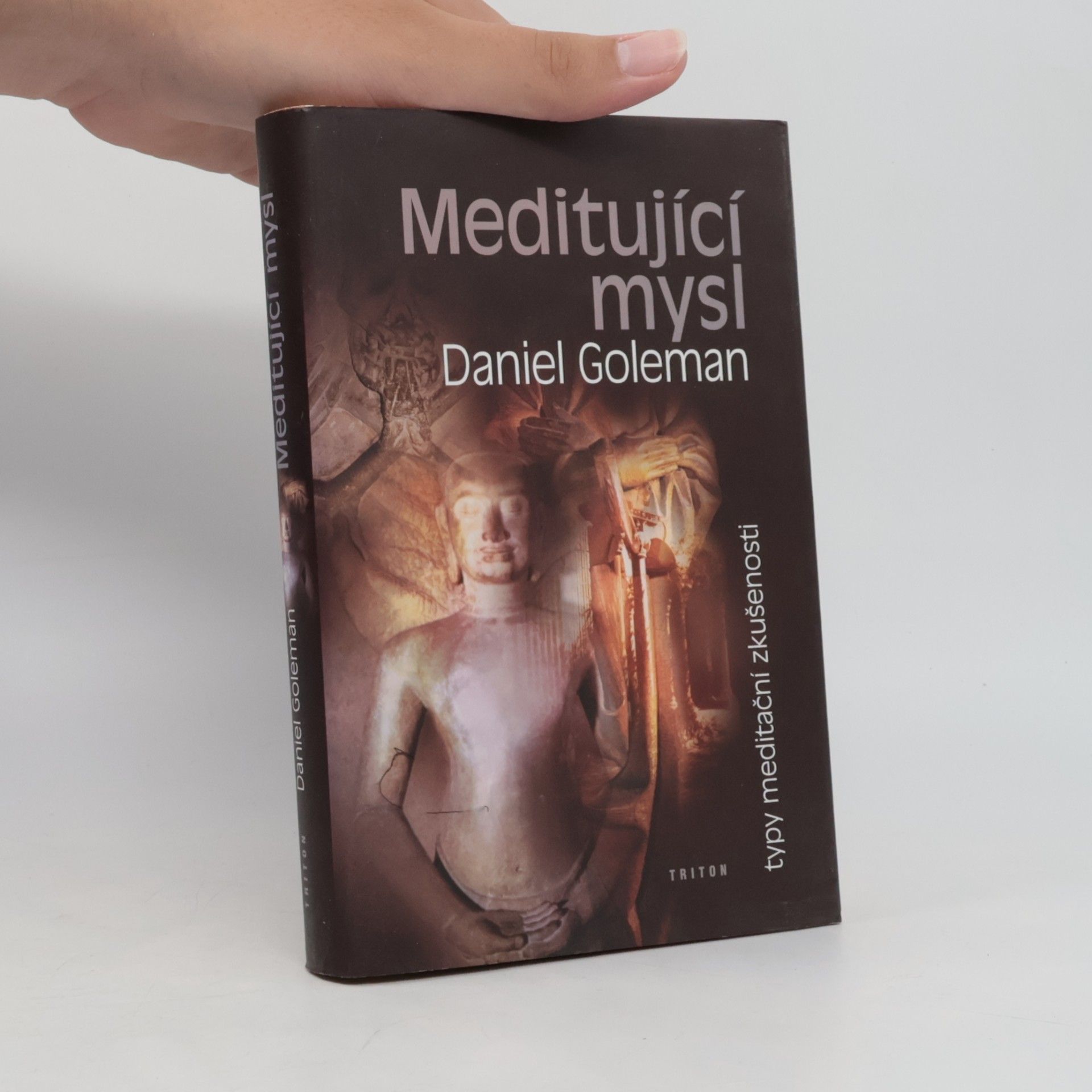 Daniel Goleman Meditující mysl : typy meditační zkušenosti