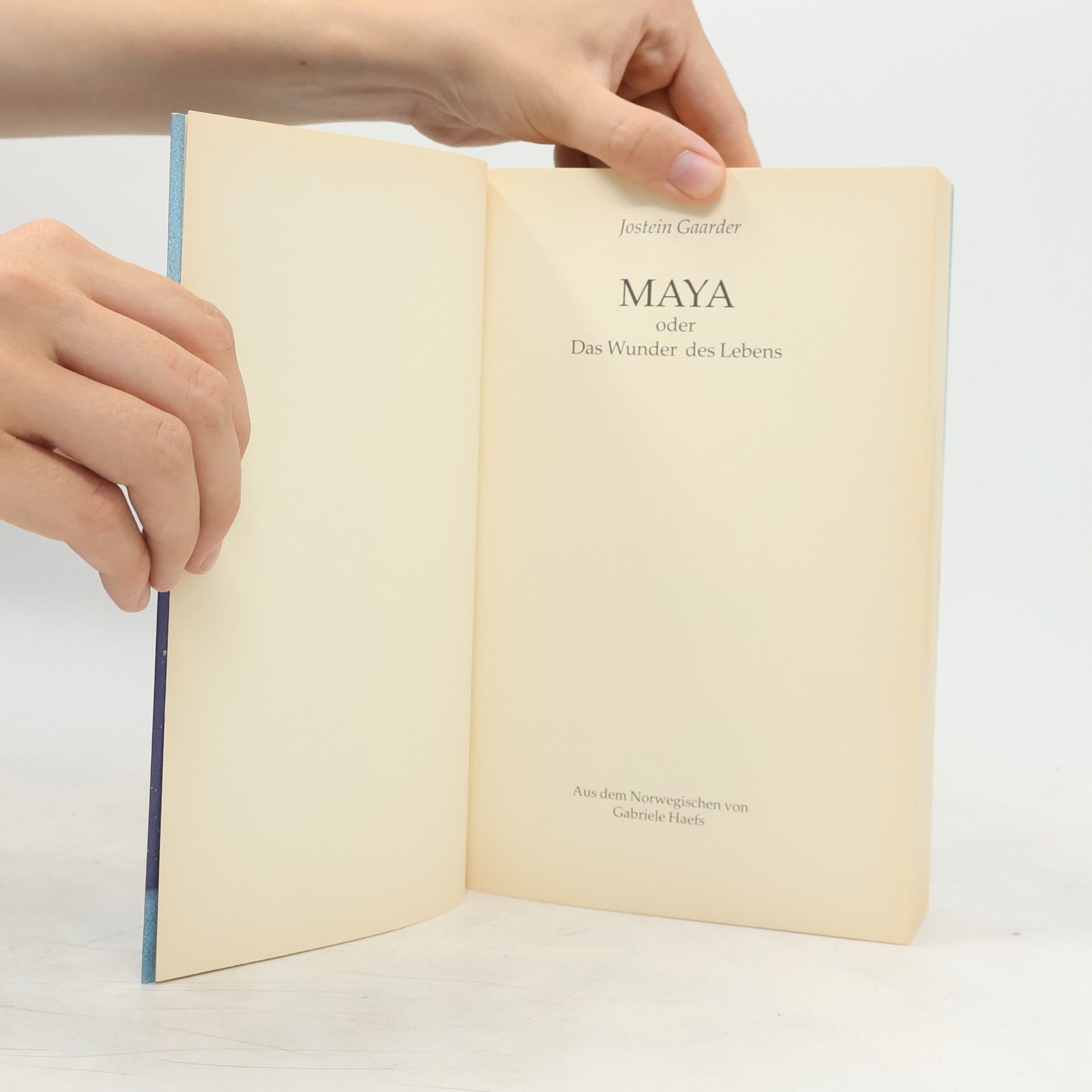 Jostein Gaarder Maya oder das Wunder des Lebens