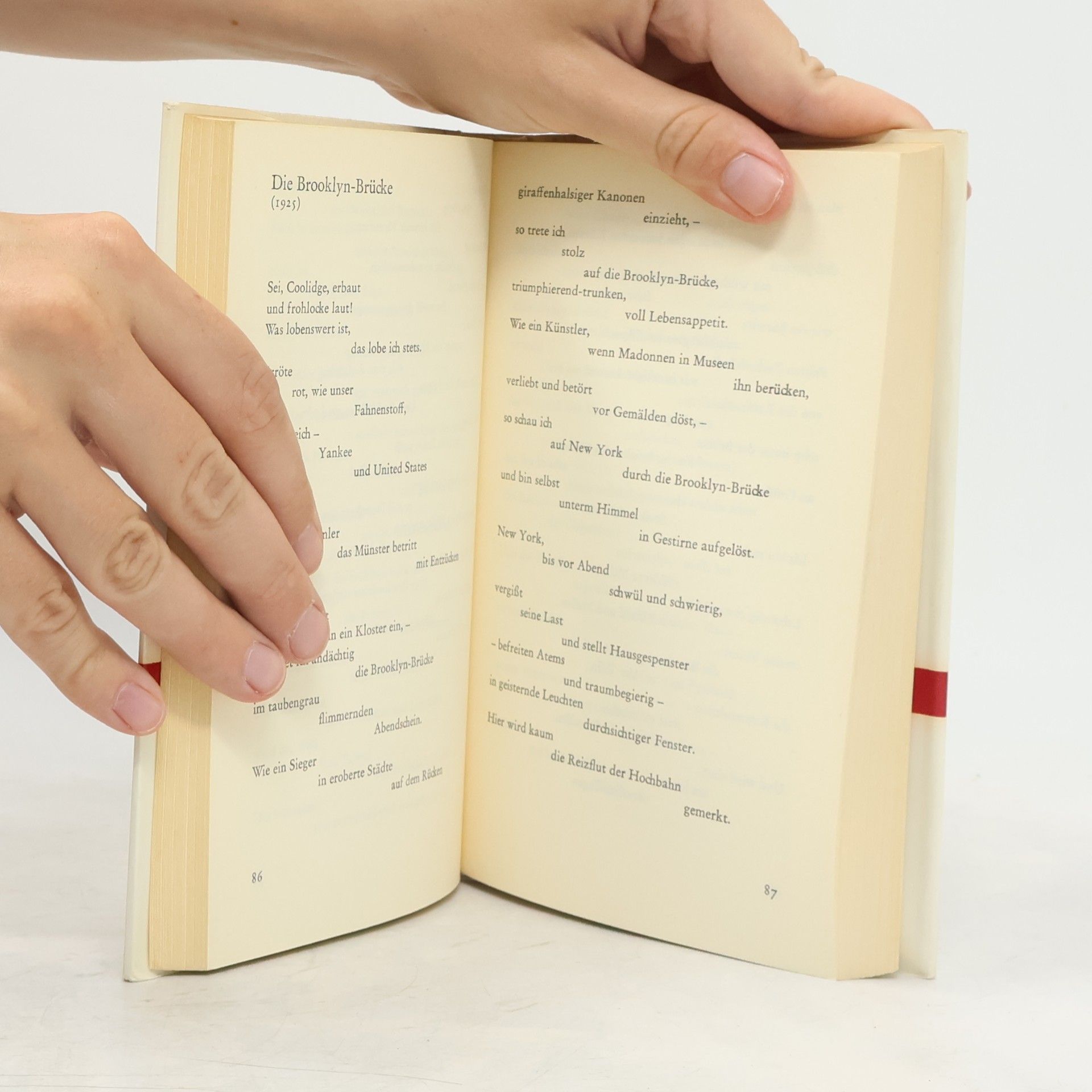 Wladimir Majakowski Politische Poesie