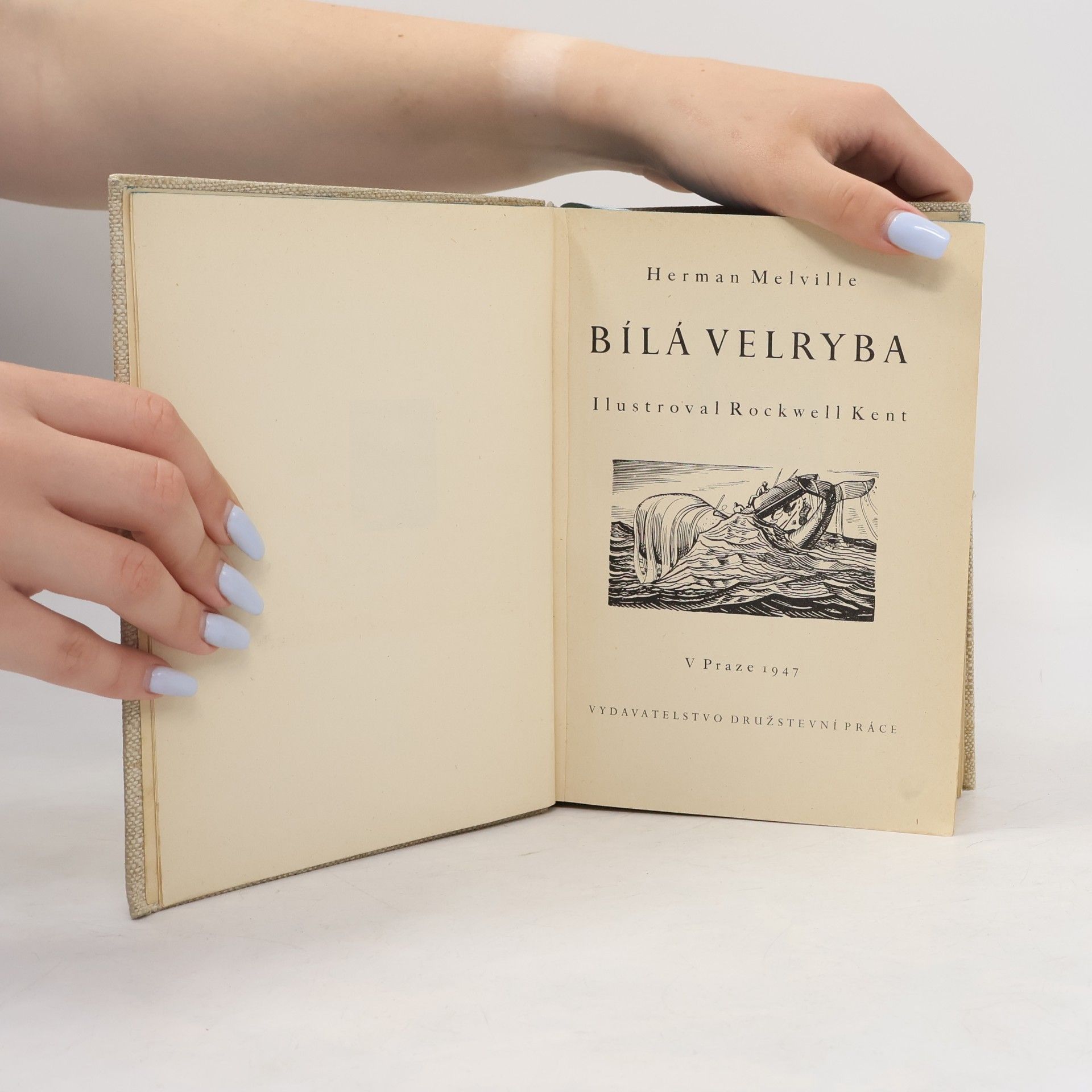 Herman Melville Bílá velryba