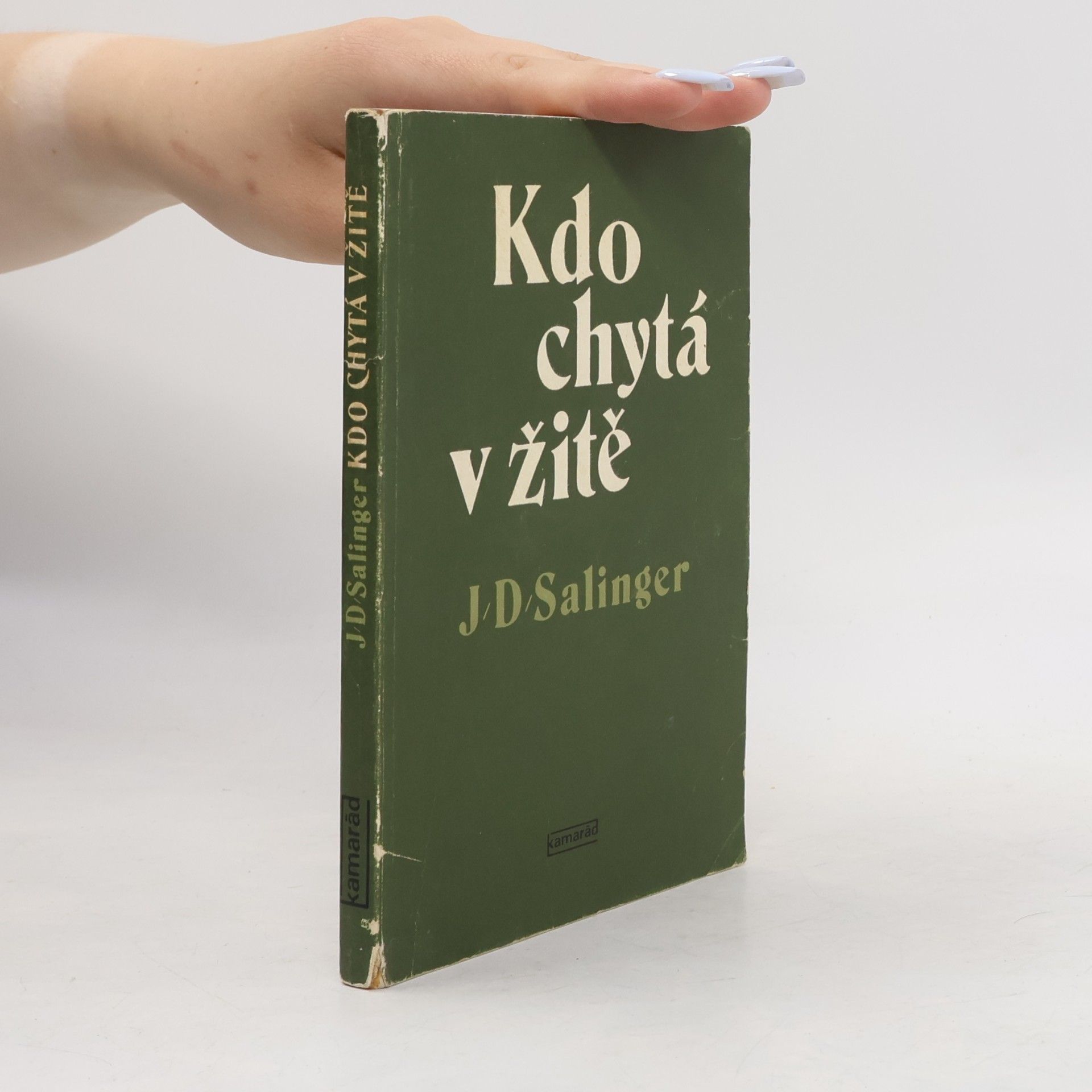 J. D. Salinger Kdo chytá v žitě