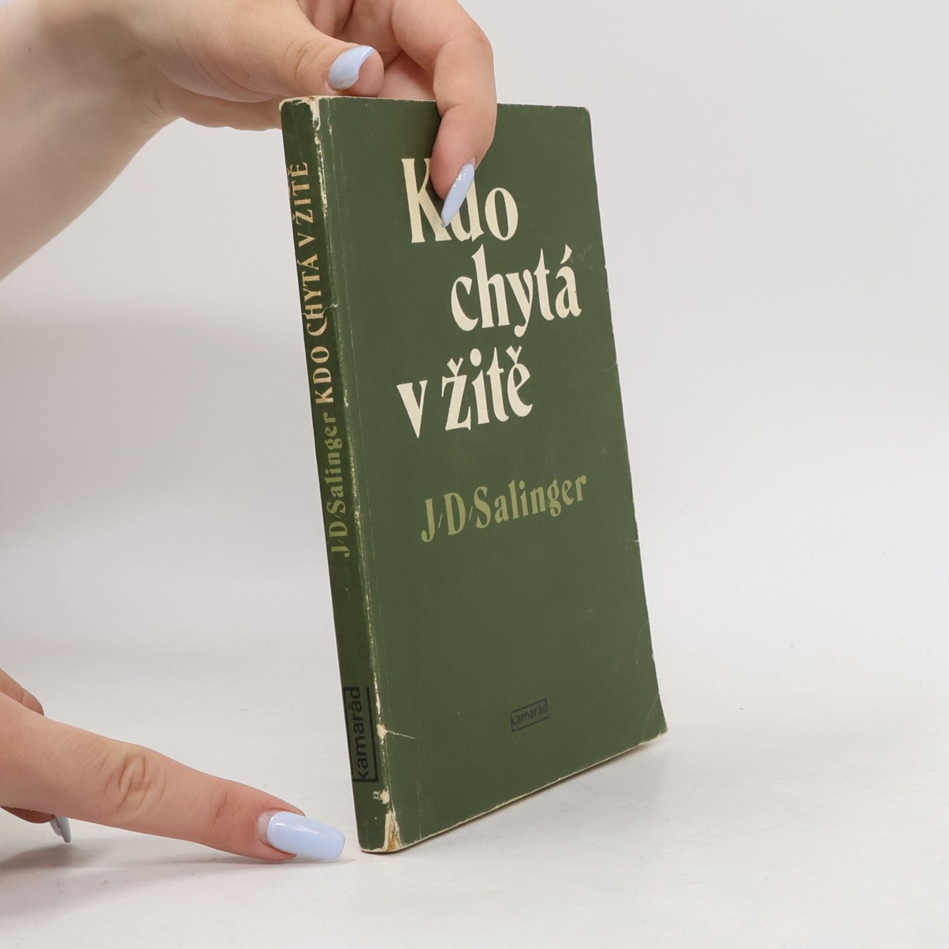 J. D. Salinger Kdo chytá v žitě