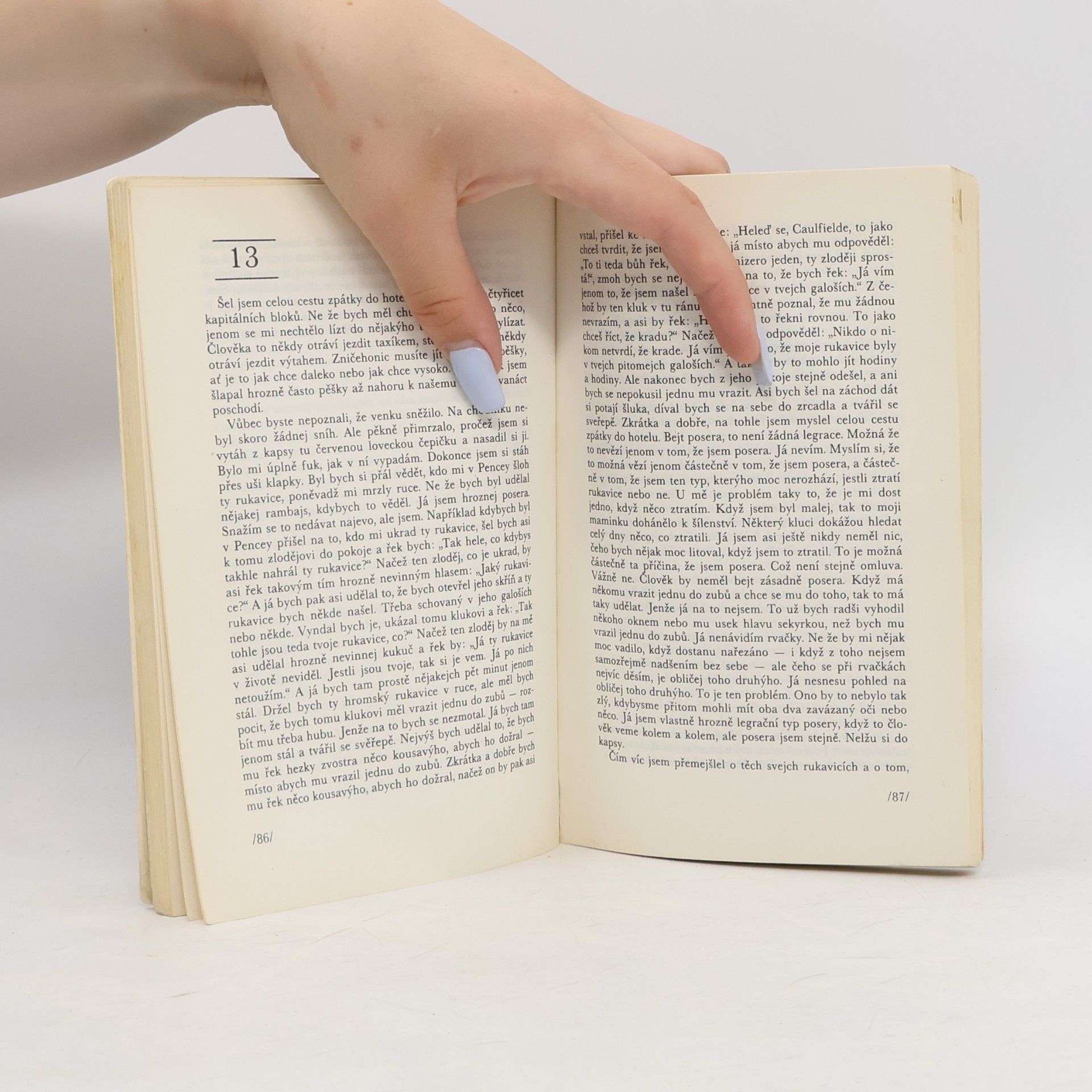 J. D. Salinger Kdo chytá v žitě