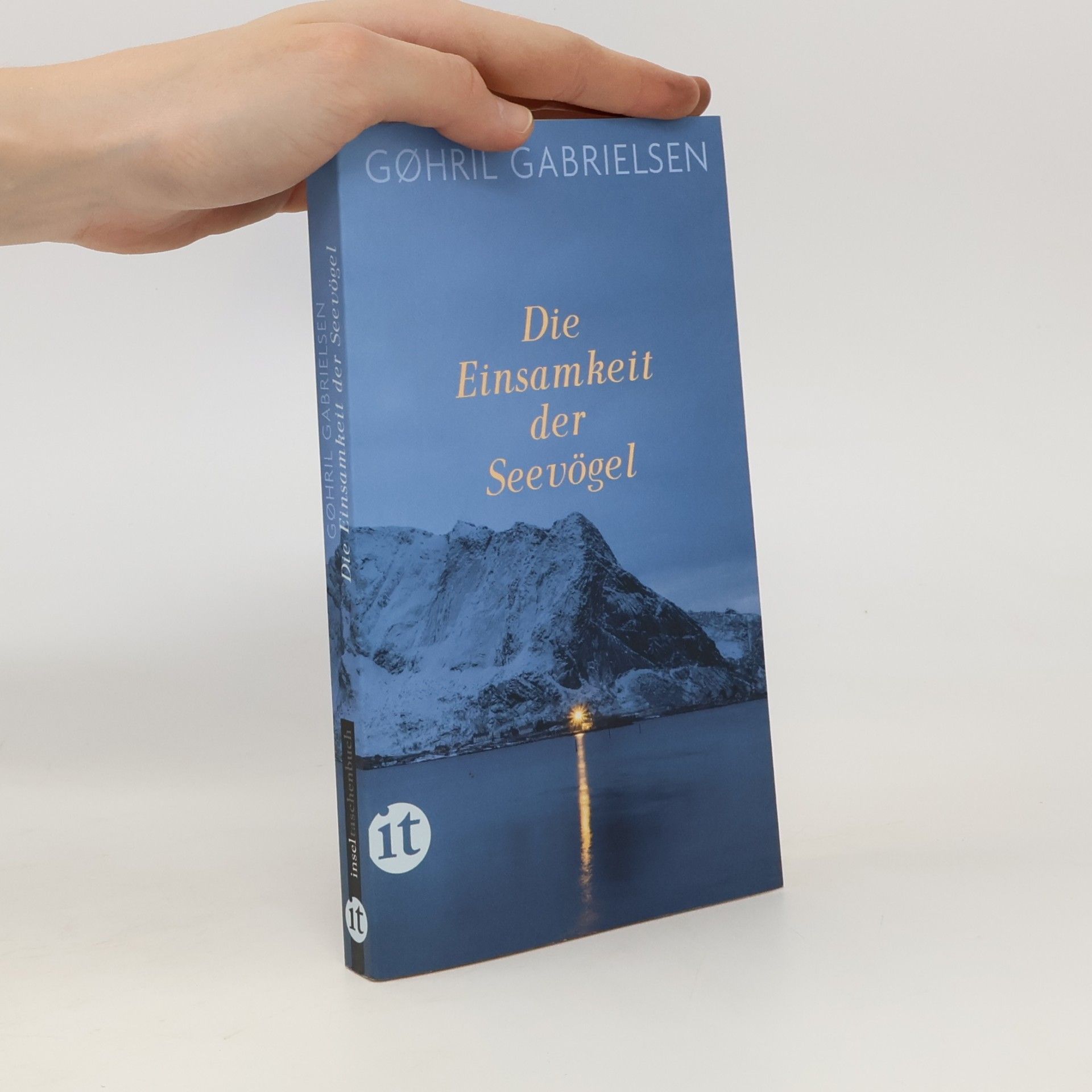 Gøhril Gabrielsen Die Einsamkeit der Seevögel