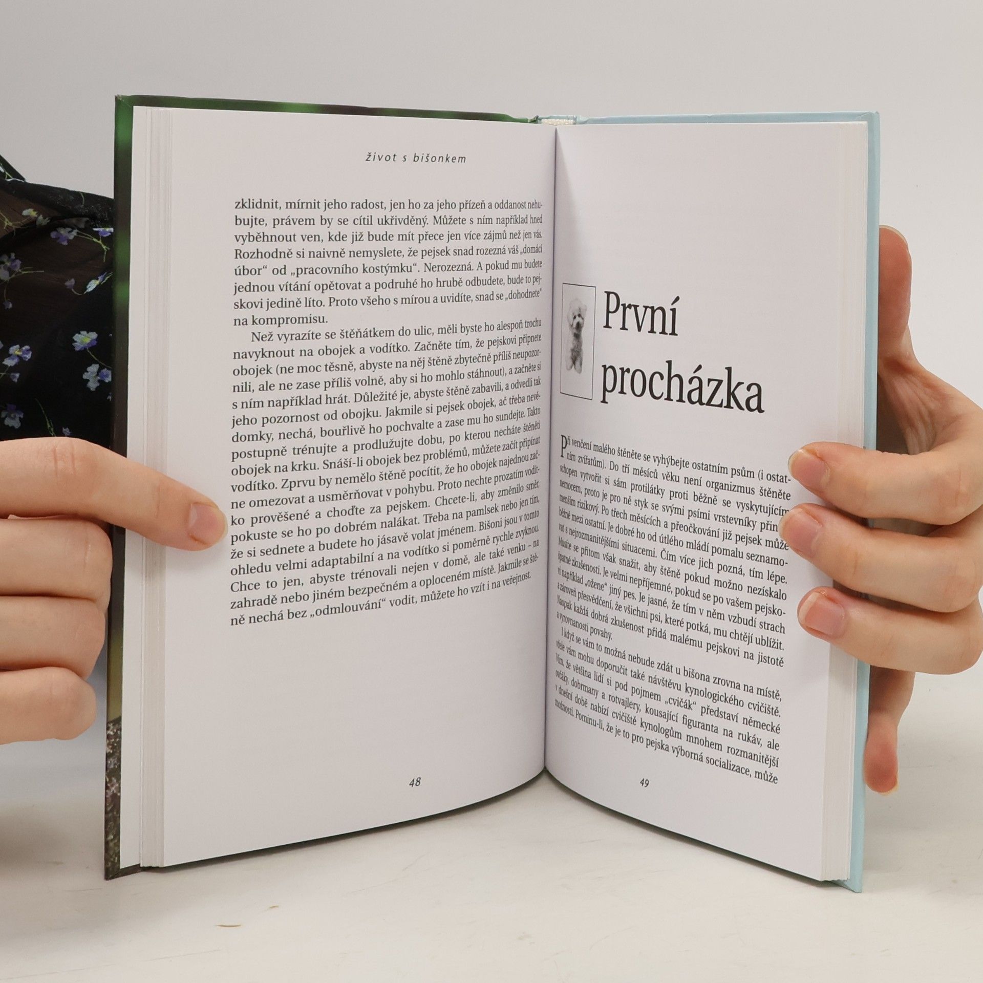 Jarmila Křečková Bišon frise