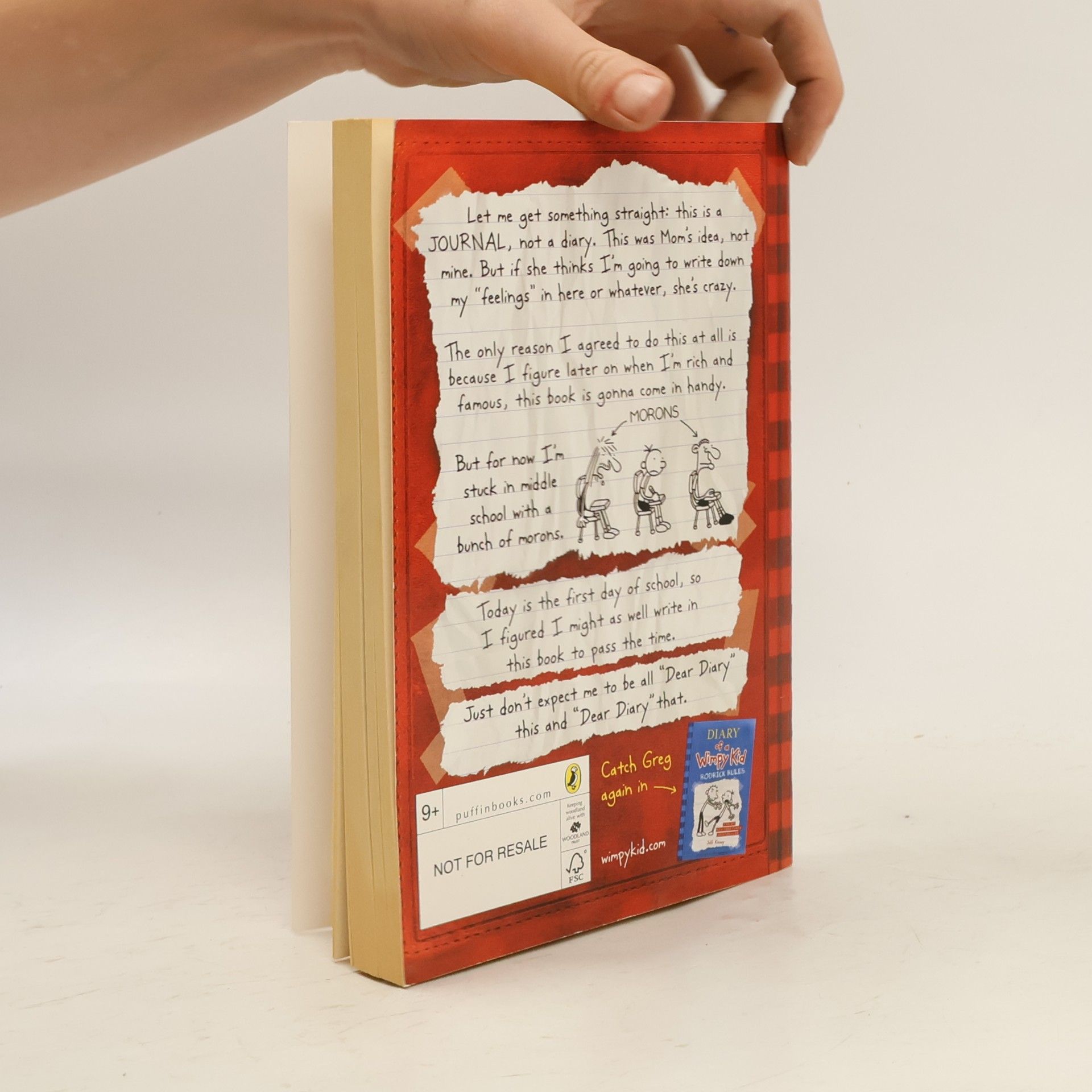 Jeff Kinney Diary of a Wimpy Kid 1