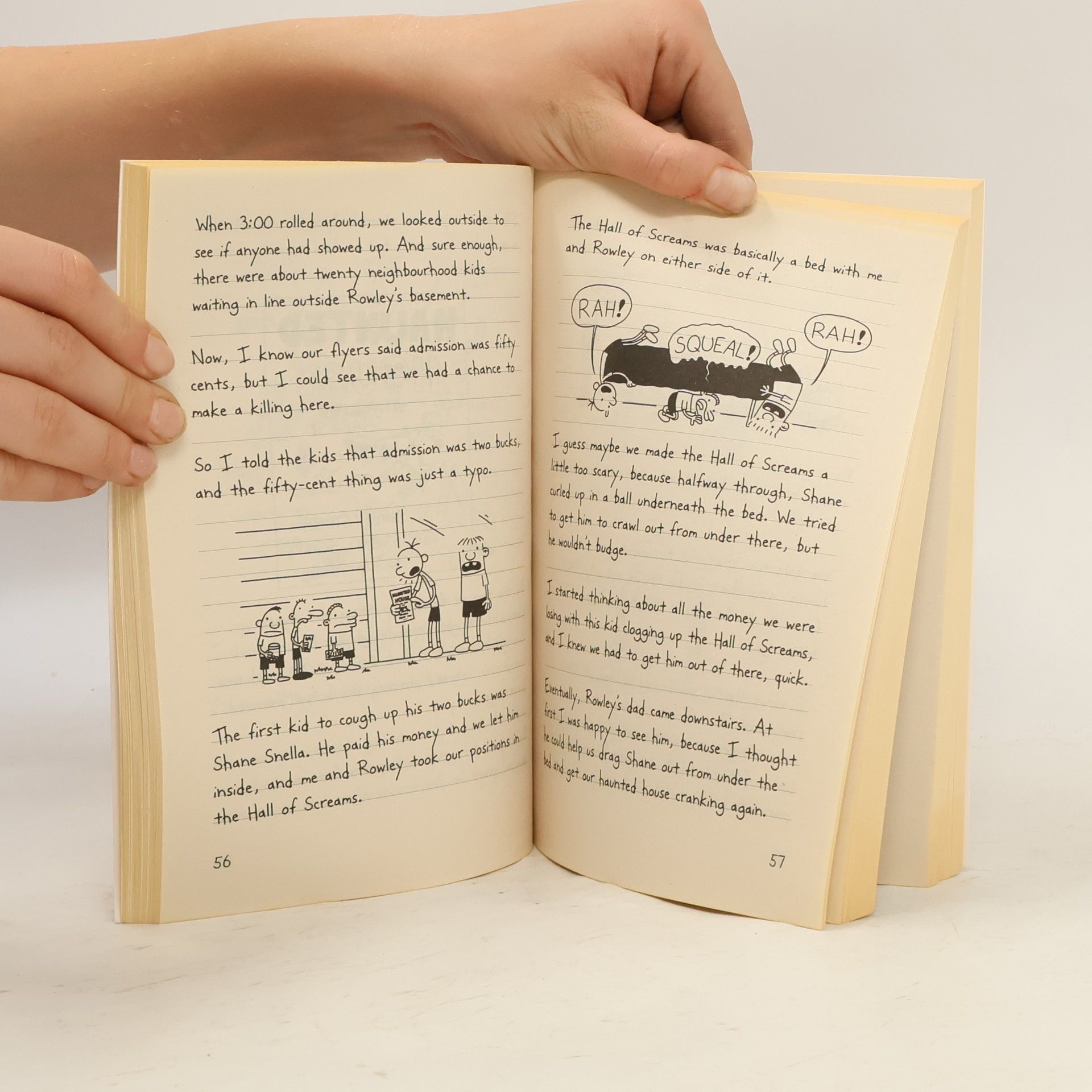 Jeff Kinney Diary of a Wimpy Kid 1
