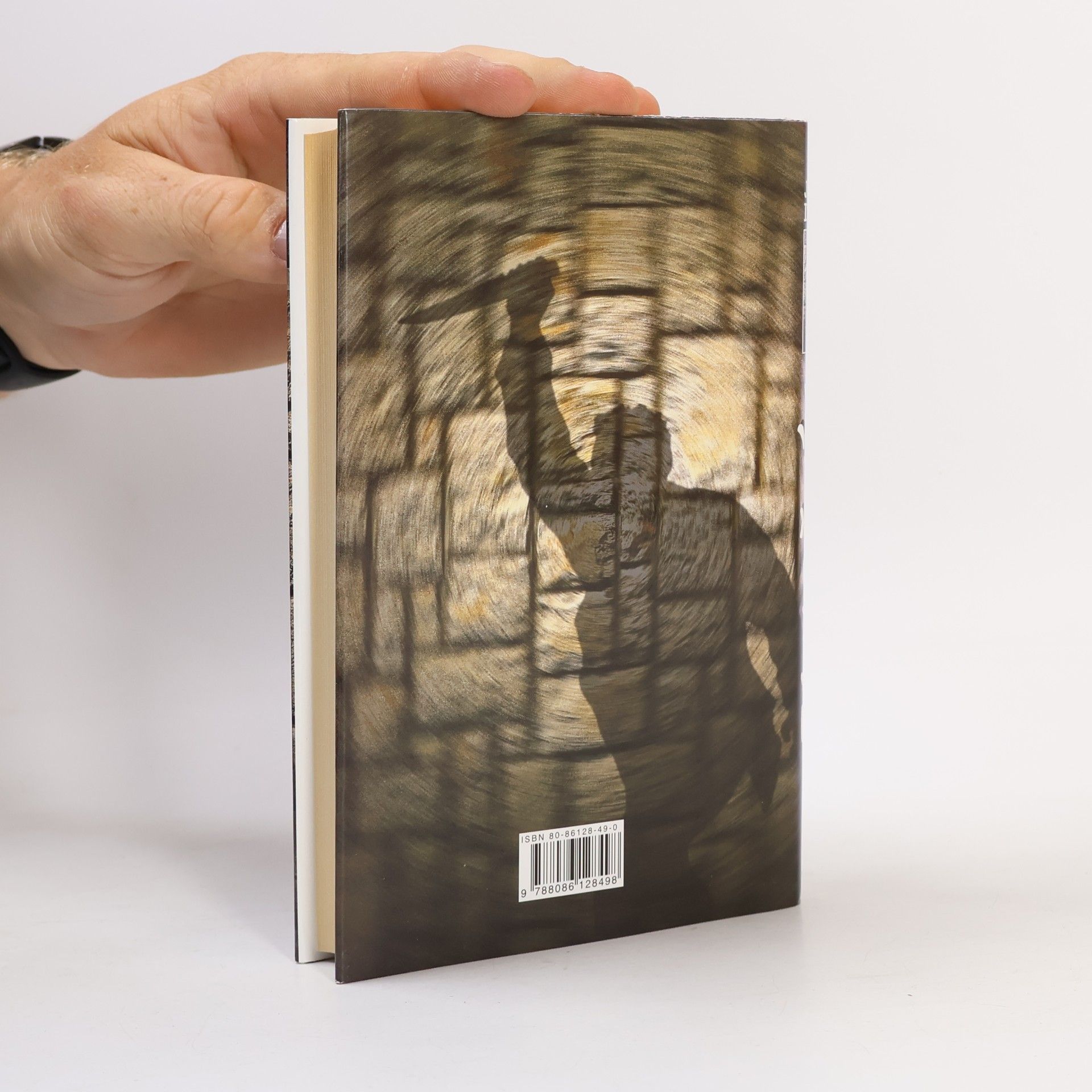 Jeffery Deaver Tanečník