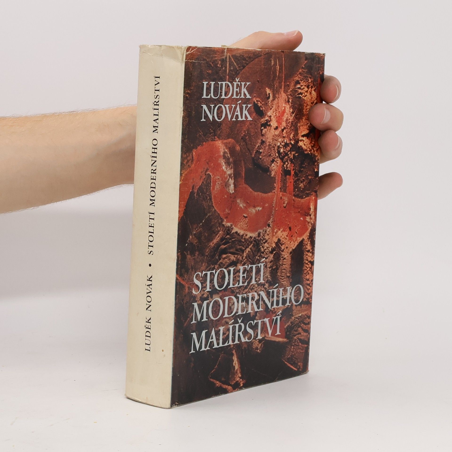 Luděk Novák Století moderního malířství 1865-1965