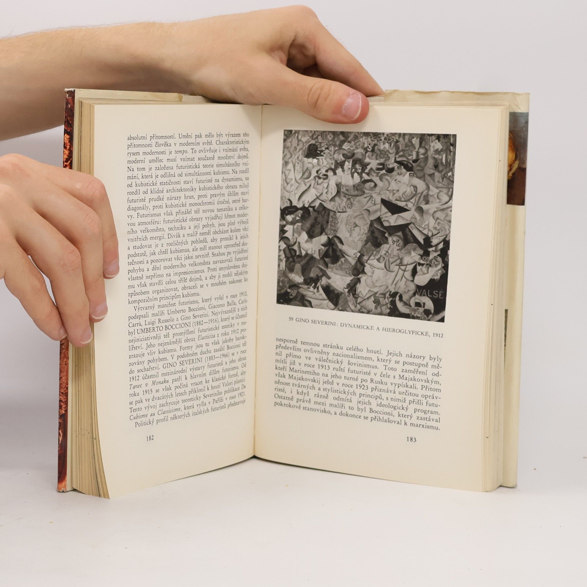 Luděk Novák Století moderního malířství 1865-1965