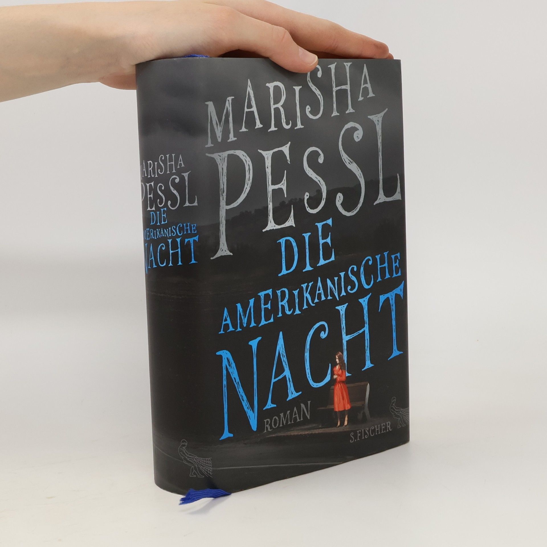 Marisha Pessl Die amerikanische Nacht