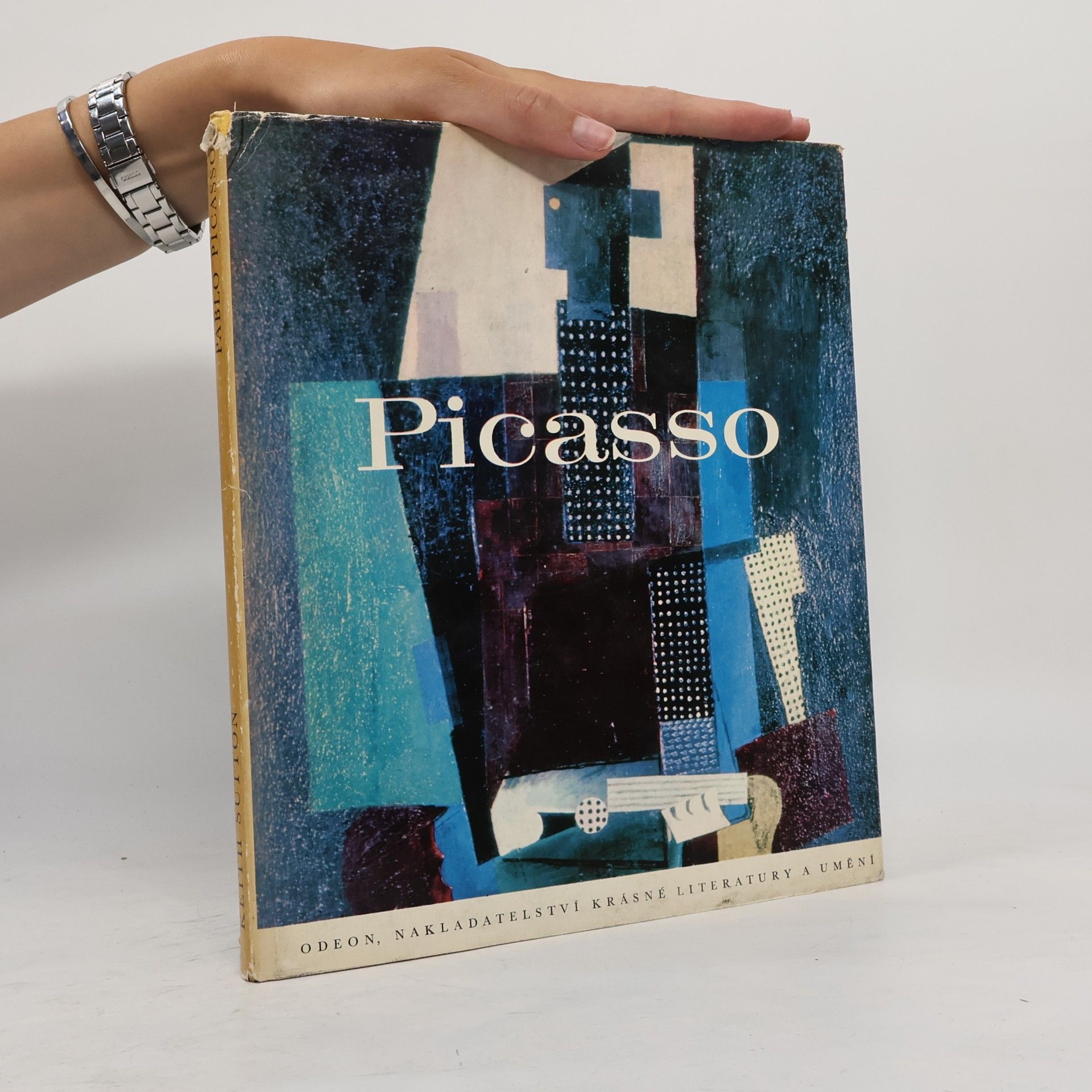 AA.VV. Picasso