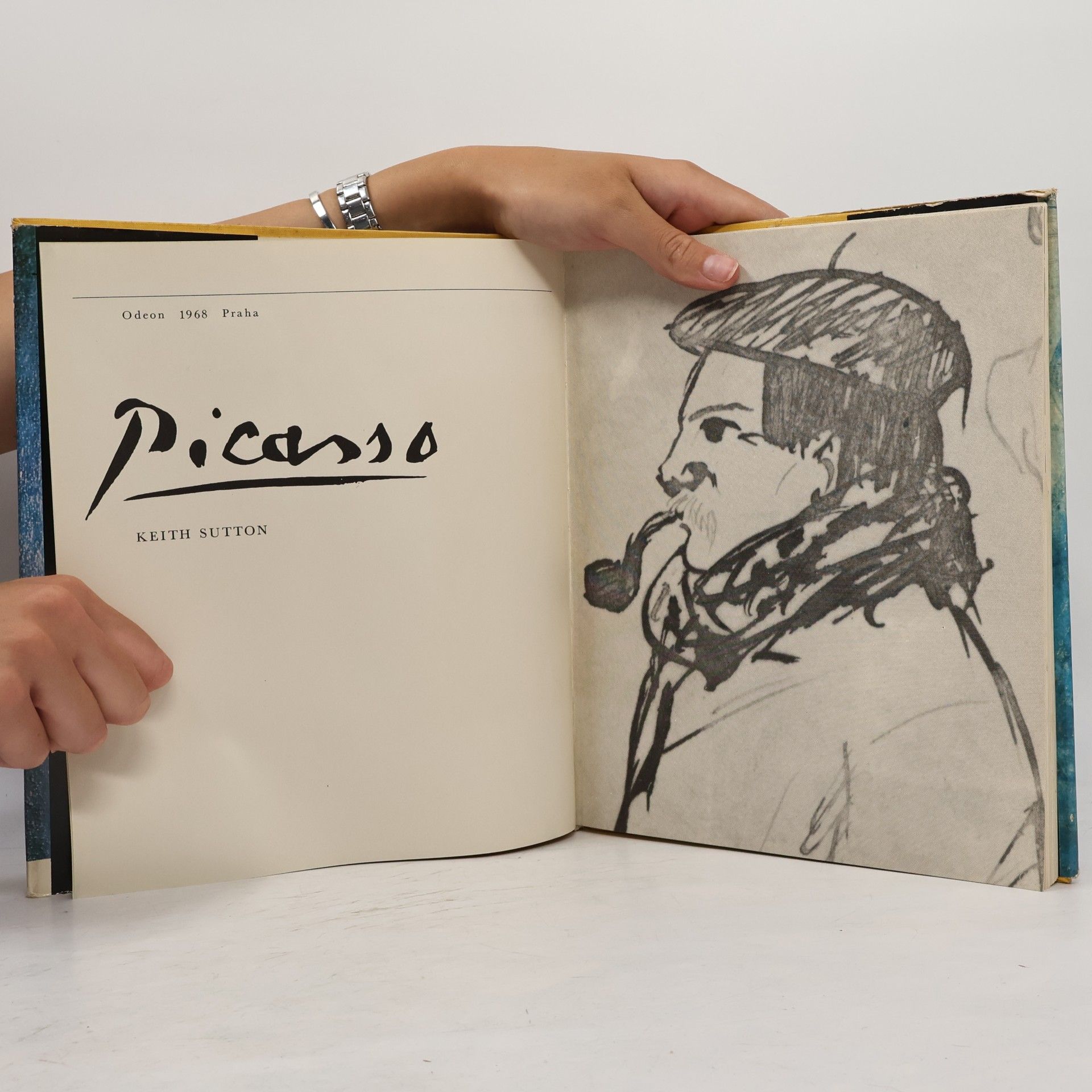 AA.VV. Picasso