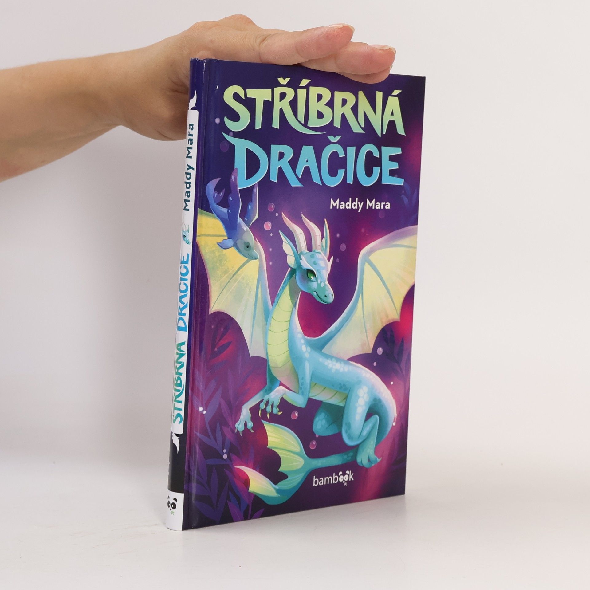 Maddy Mara Stříbrná dračice