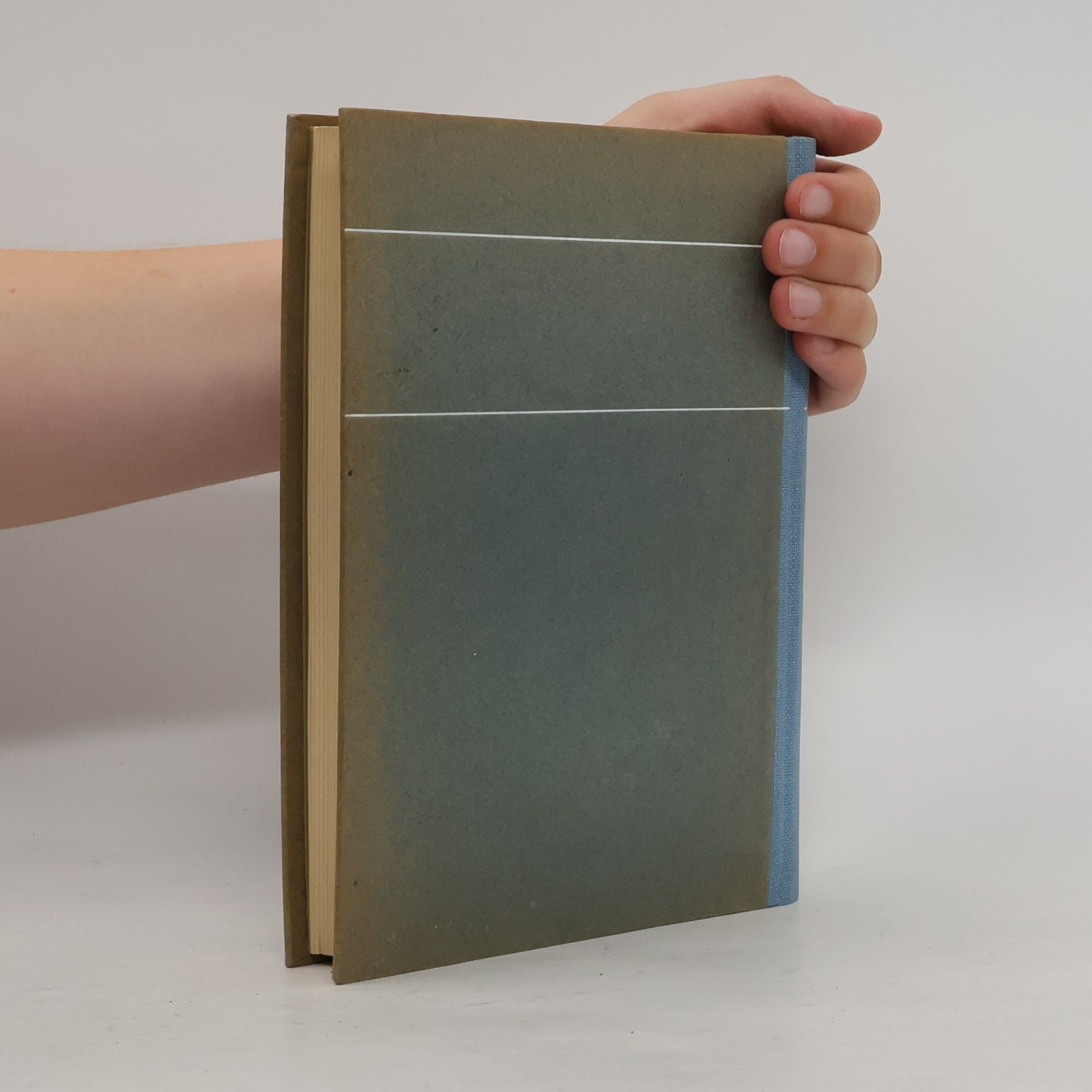 kolektiv Basler Jahrbuch 1933