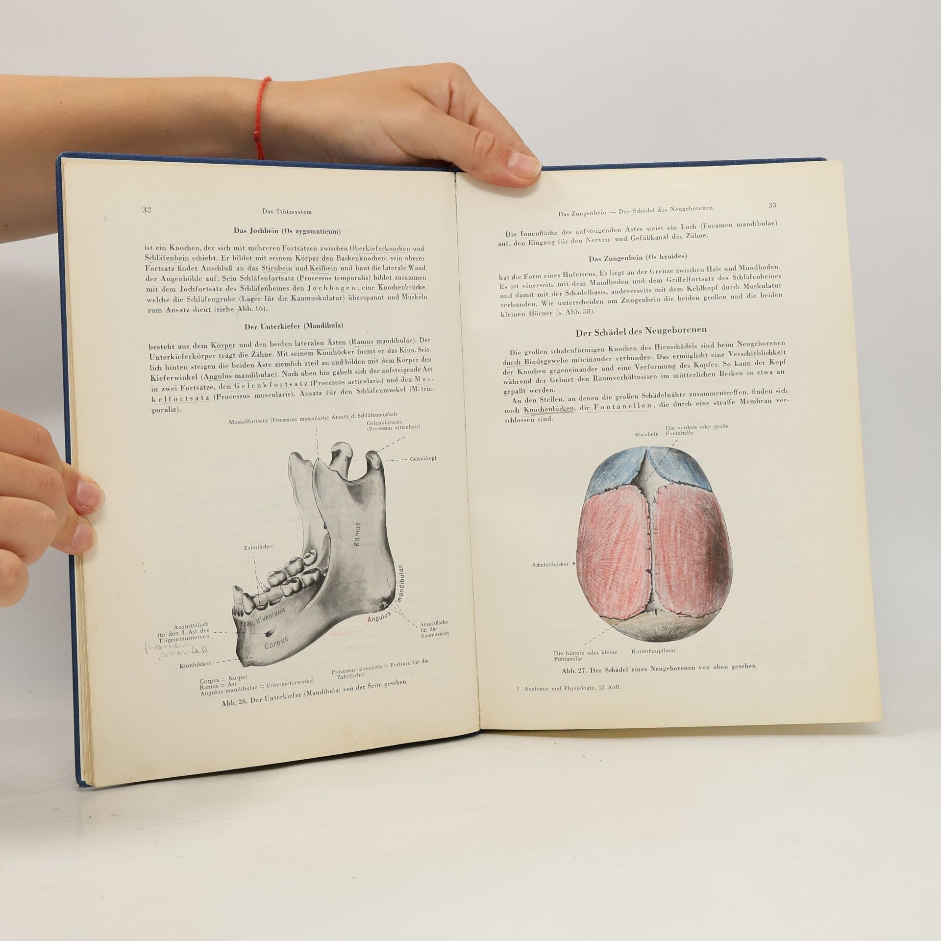 Joseph Brucker Anatomie und Psysiologie