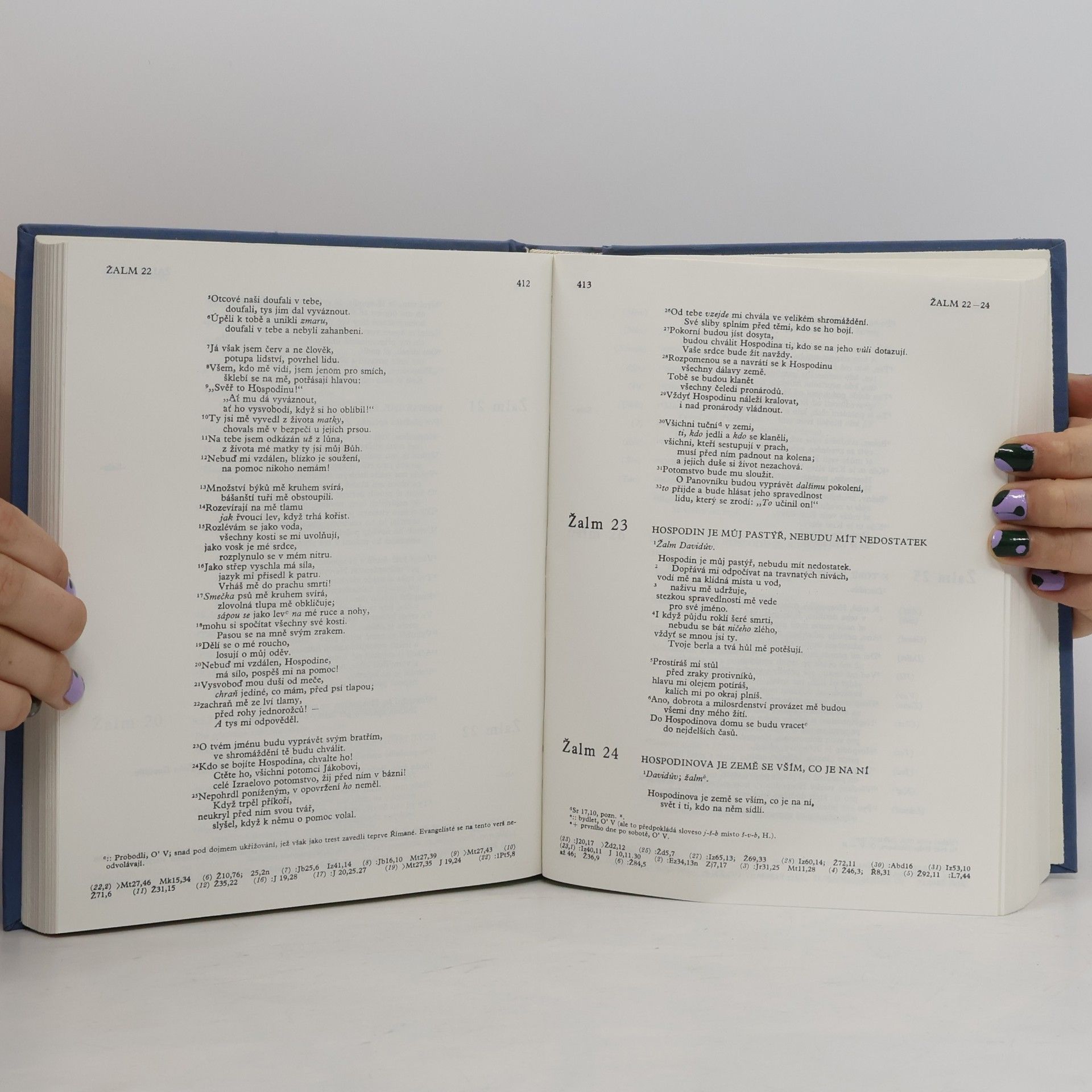 Kolektiv autorů Bible. Písmo svaté Starého a Nového zákona