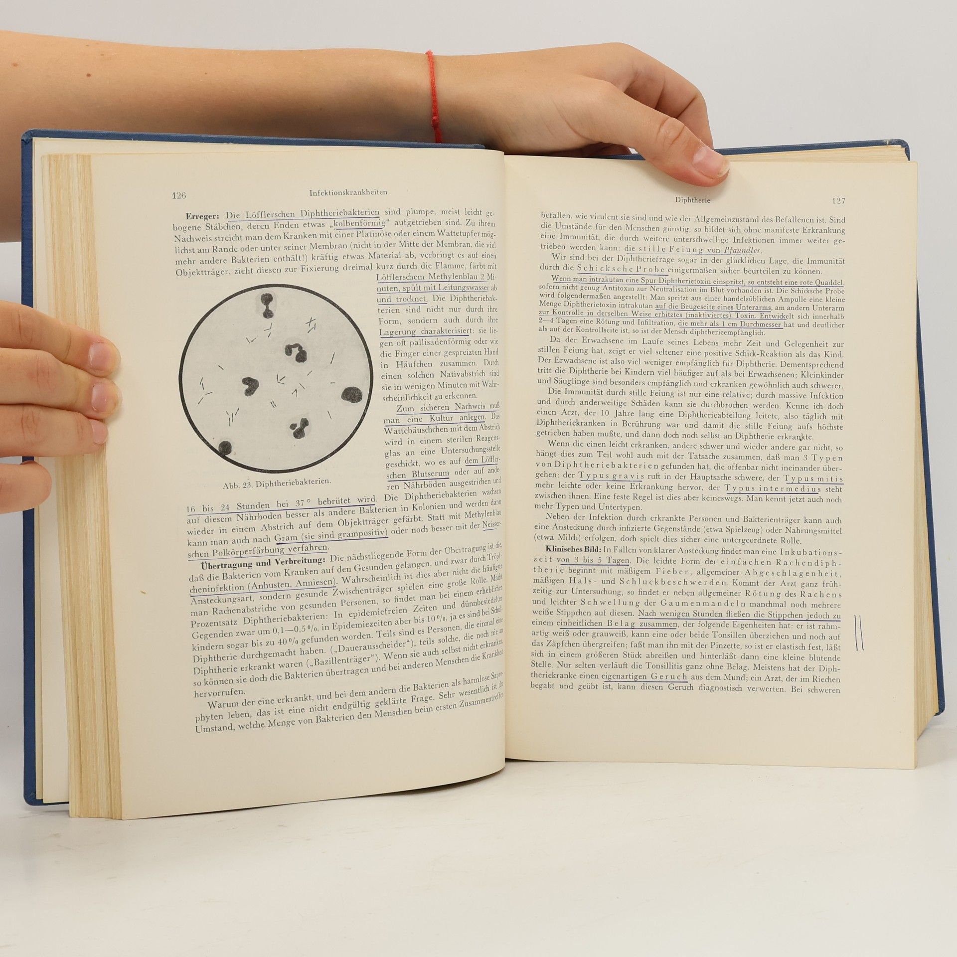 Helmut Dennig Lehrbuch der inneren Medizin Band I.