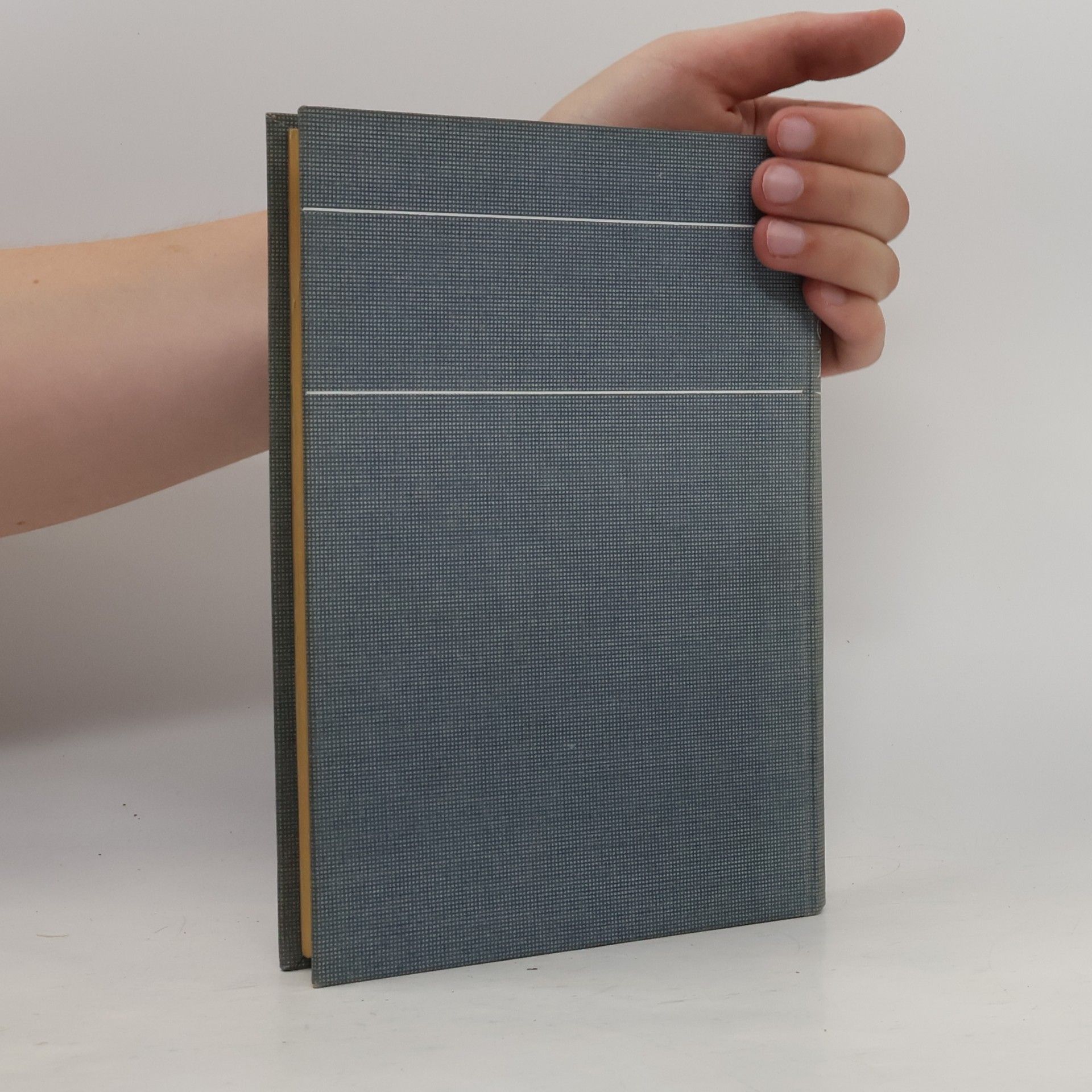 Autorenkollektiv Basler Jahrbuch 1906