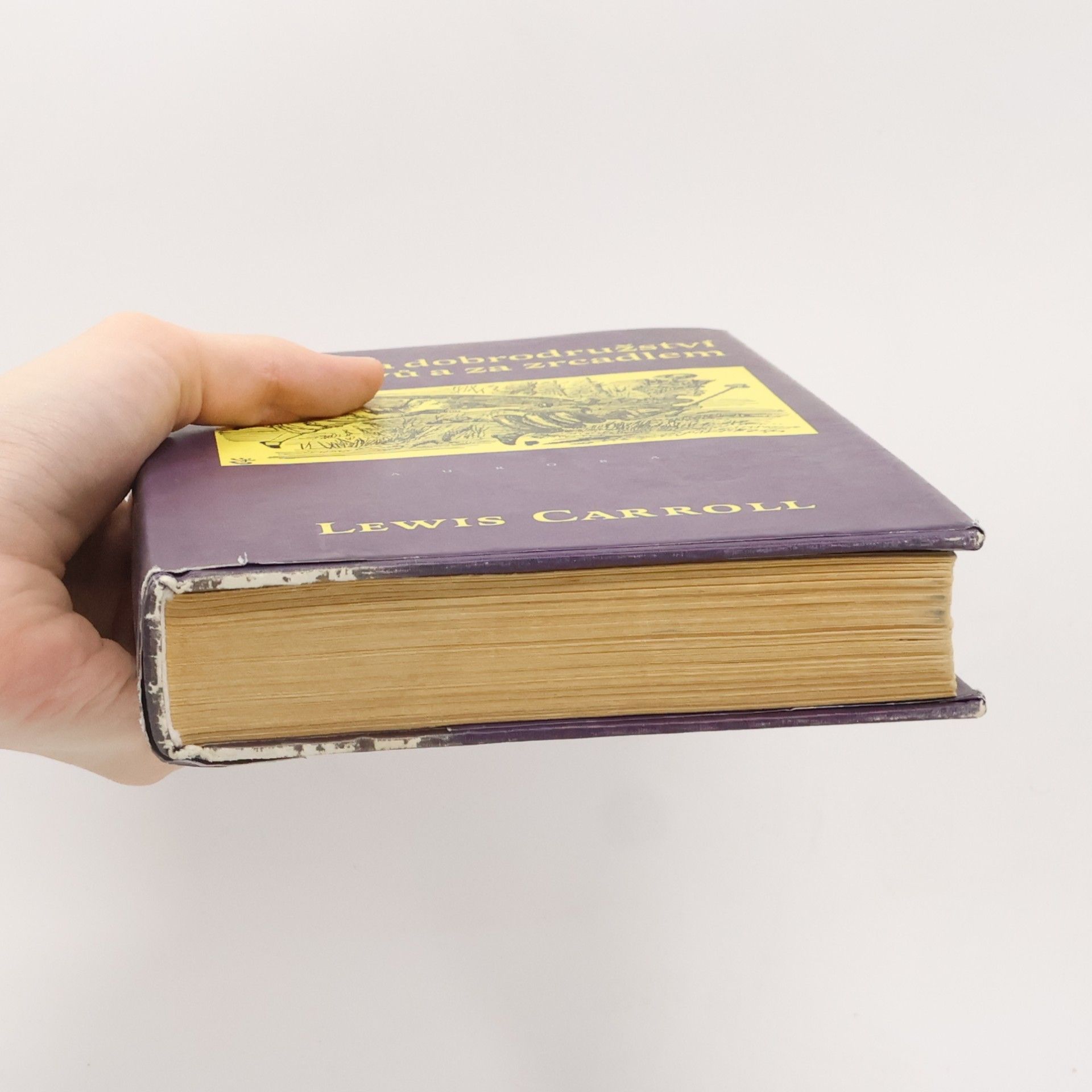 Lewis Carroll Alenčina dobrodružství v říši divů a za zrcadlem