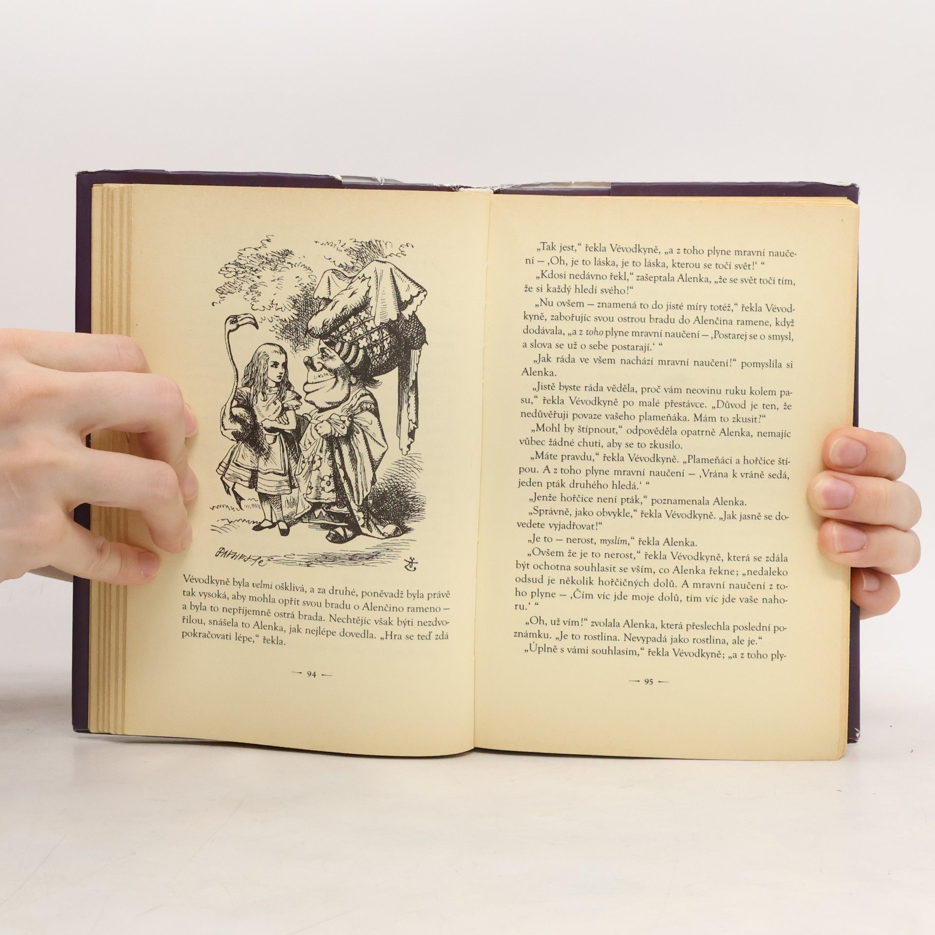 Lewis Carroll Alenčina dobrodružství v říši divů a za zrcadlem