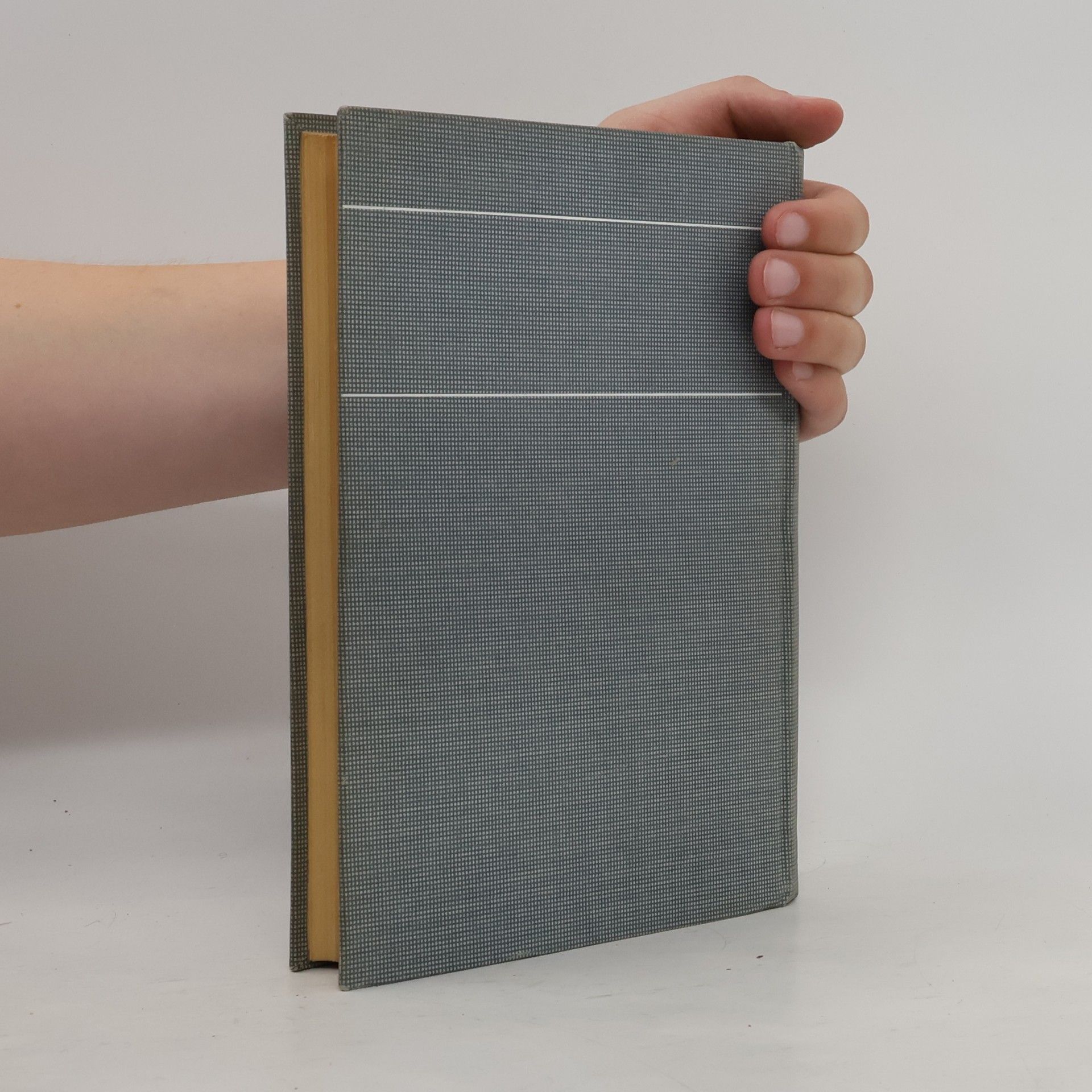 Autorenkollektiv Basler Jahrbuch 1000