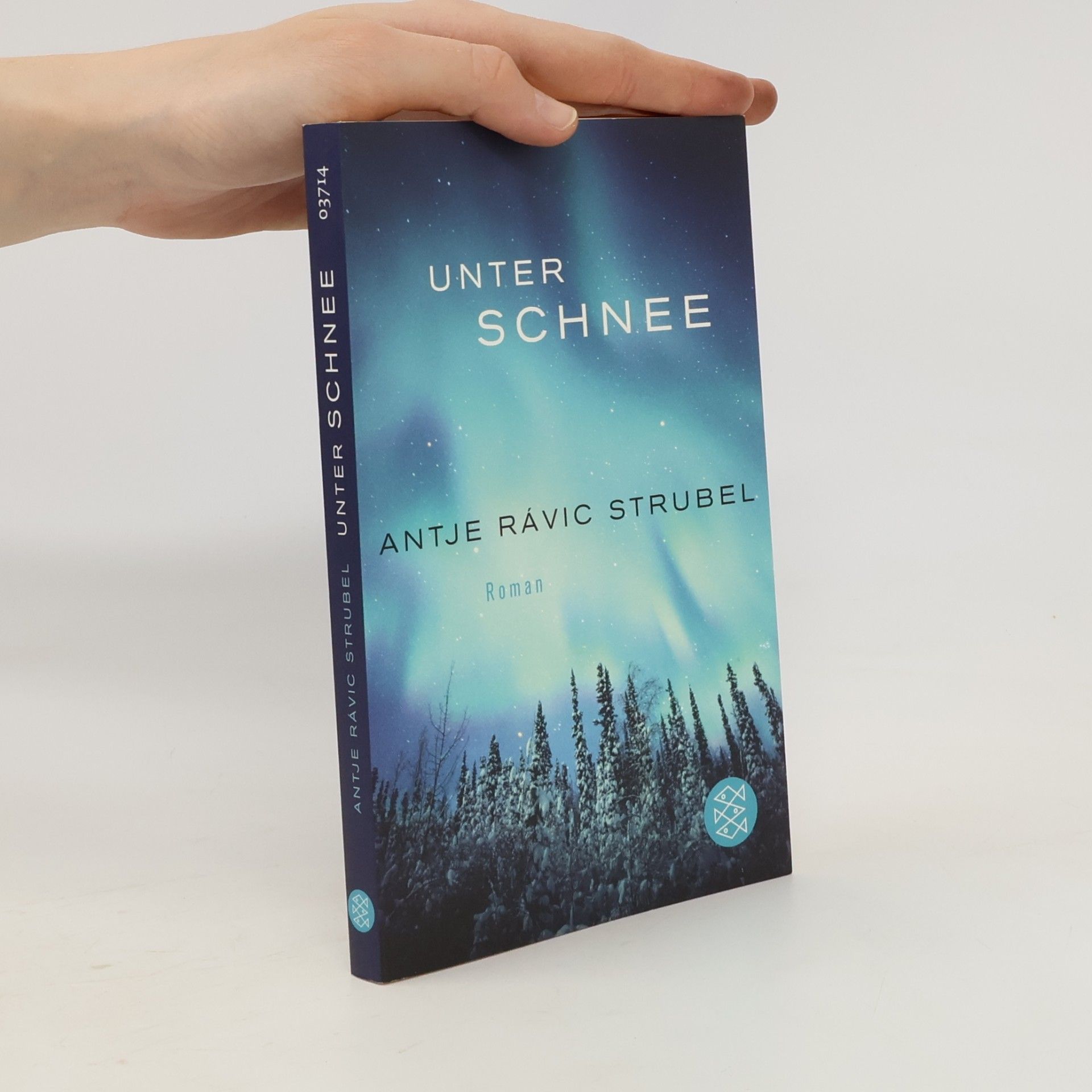 Antje Rávic Strubel Unter Schnee