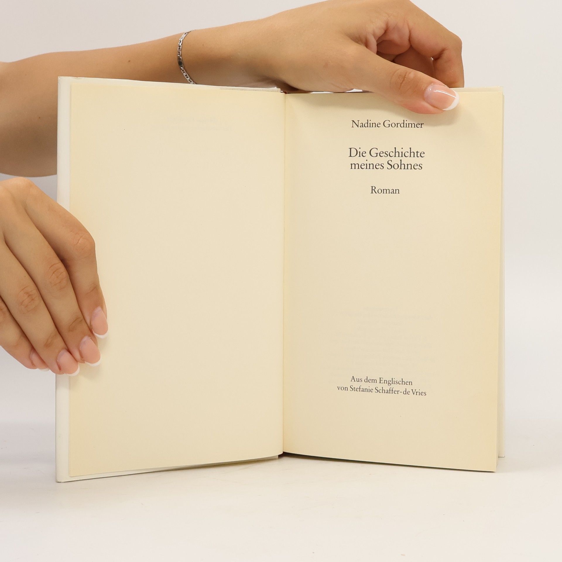 Nadine Gordimer Die Geschichte meines Sohnes