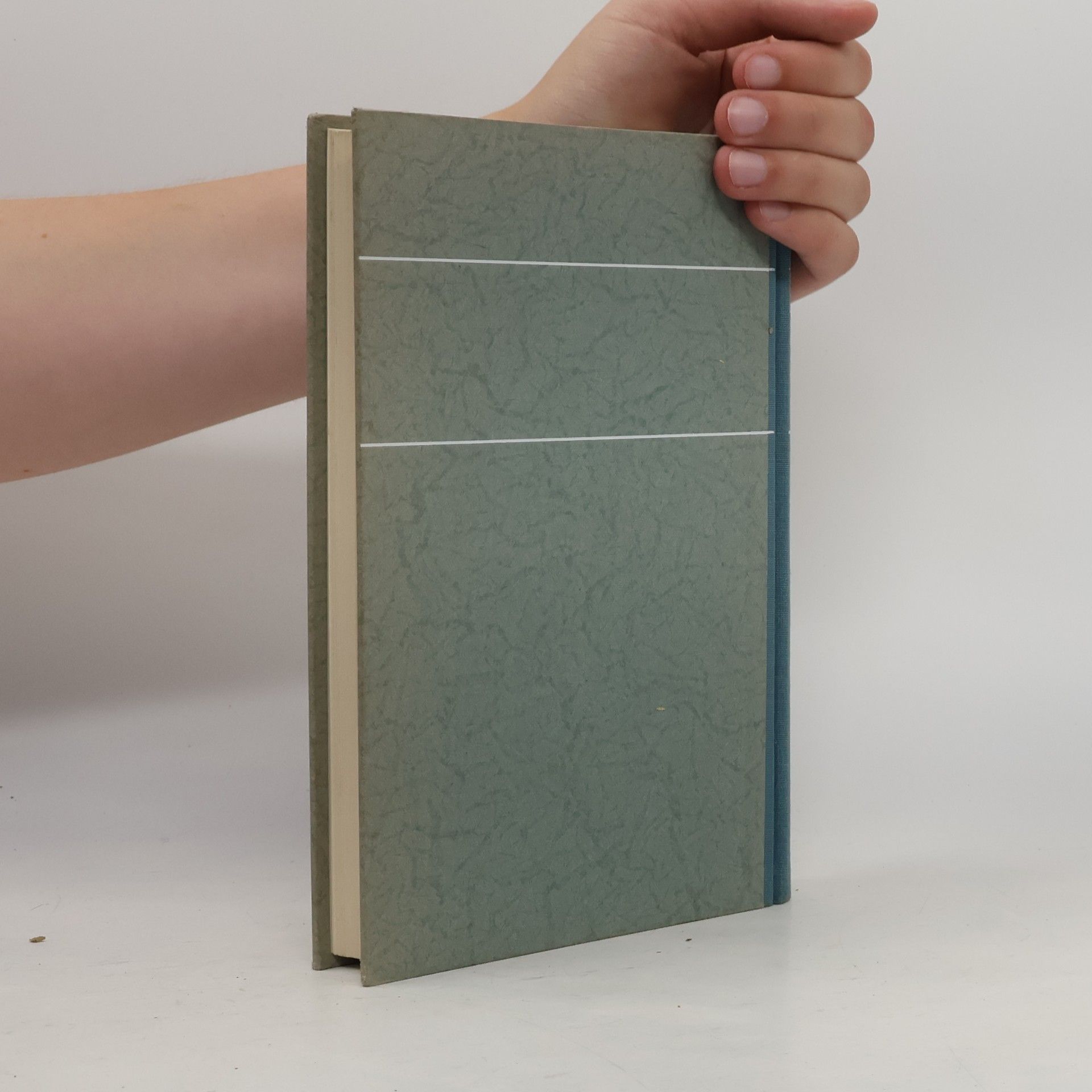Gustav Steiner Basler Jahrbuch 1954