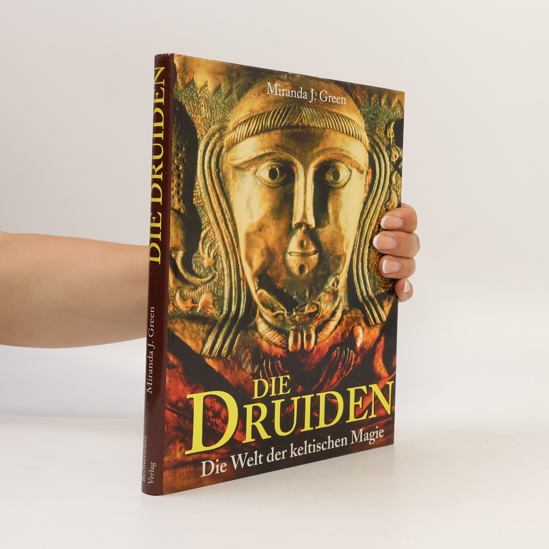 Miranda J. Green Die Druiden