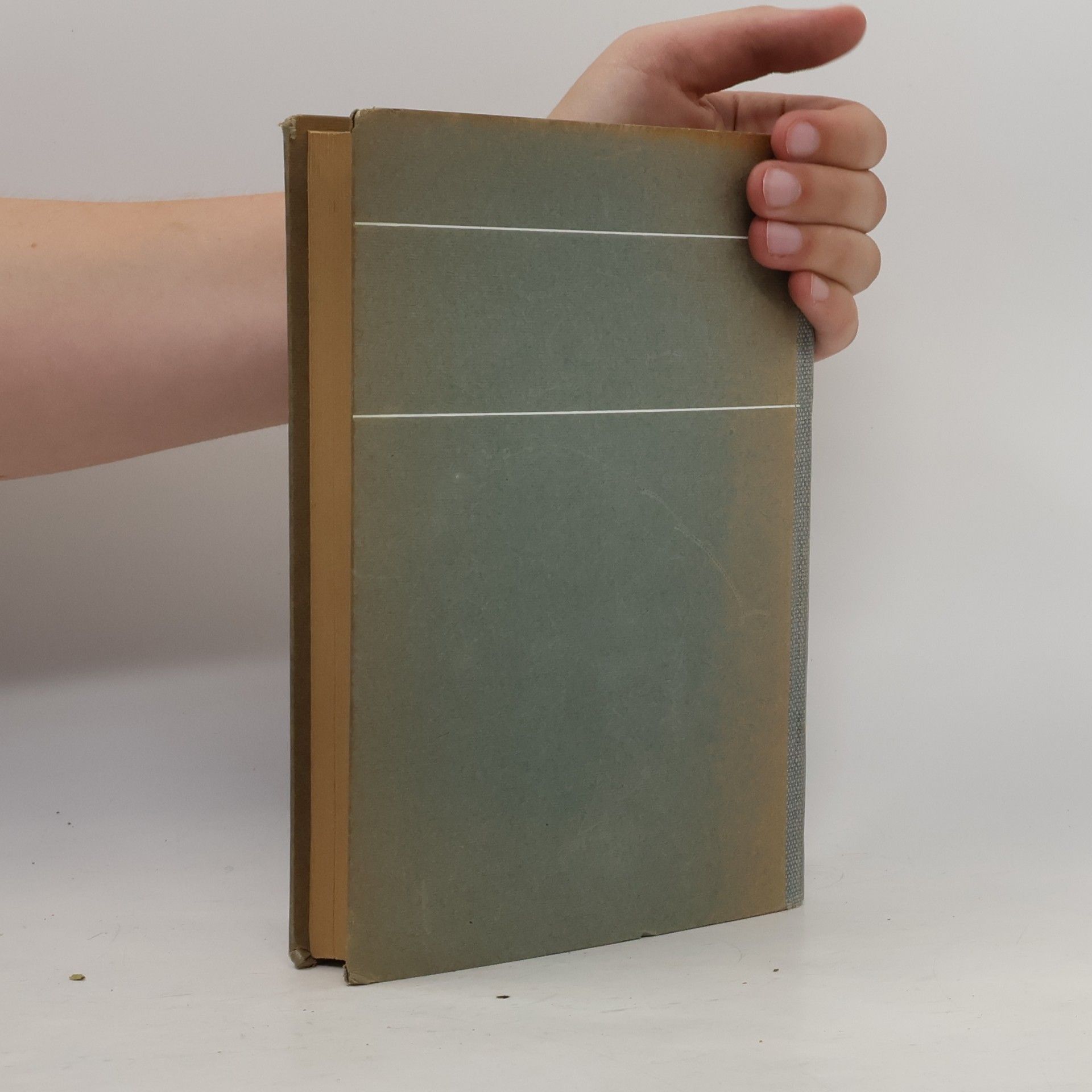 Autorenkollektiv Basler Jahrbuch 1920
